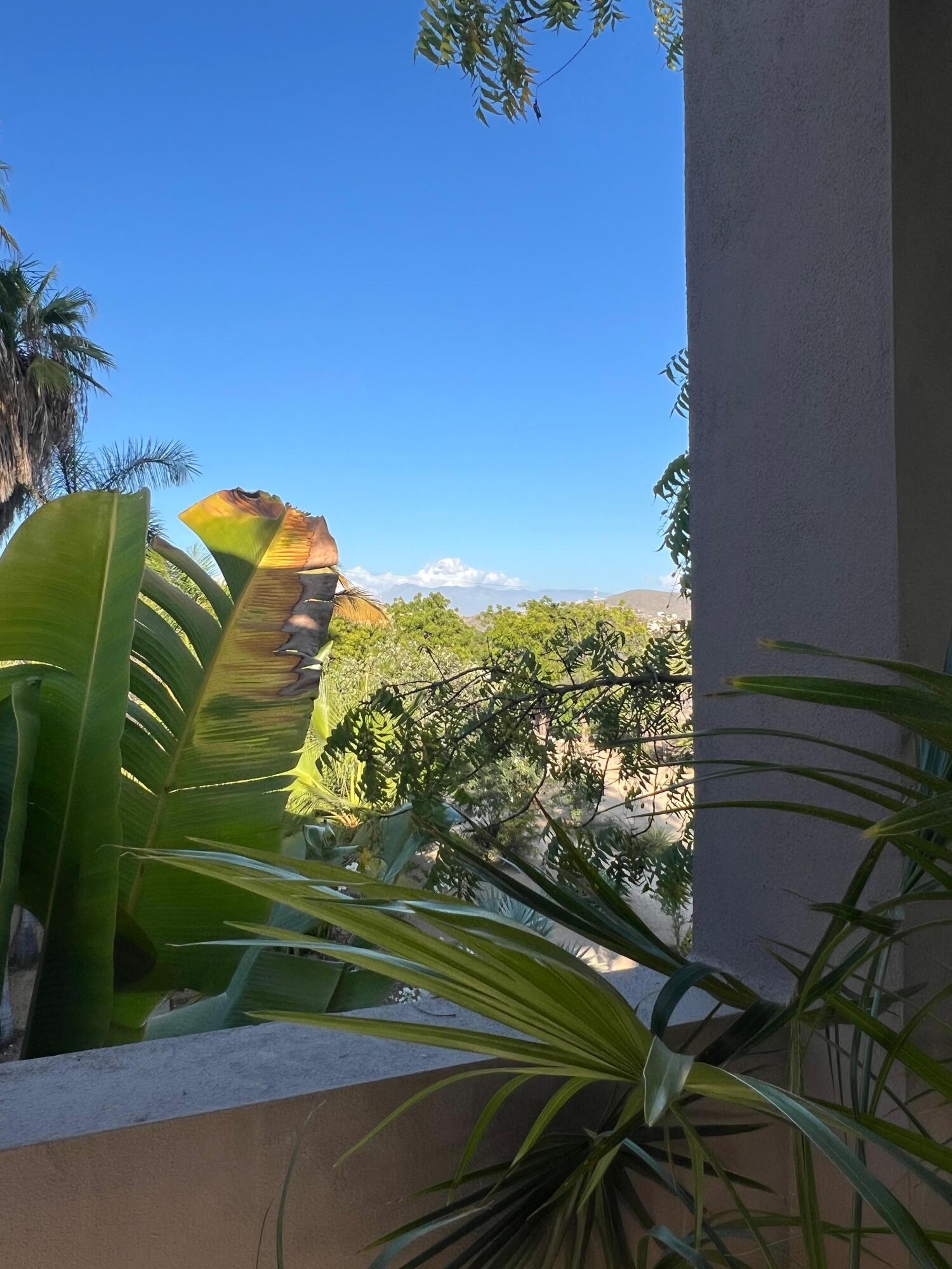 MLS #24-4912 image #32