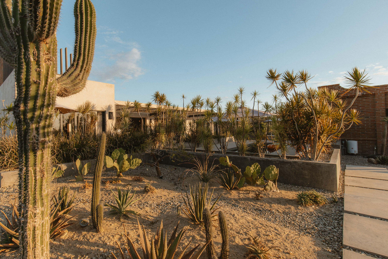 MLS #24-4946 image #36