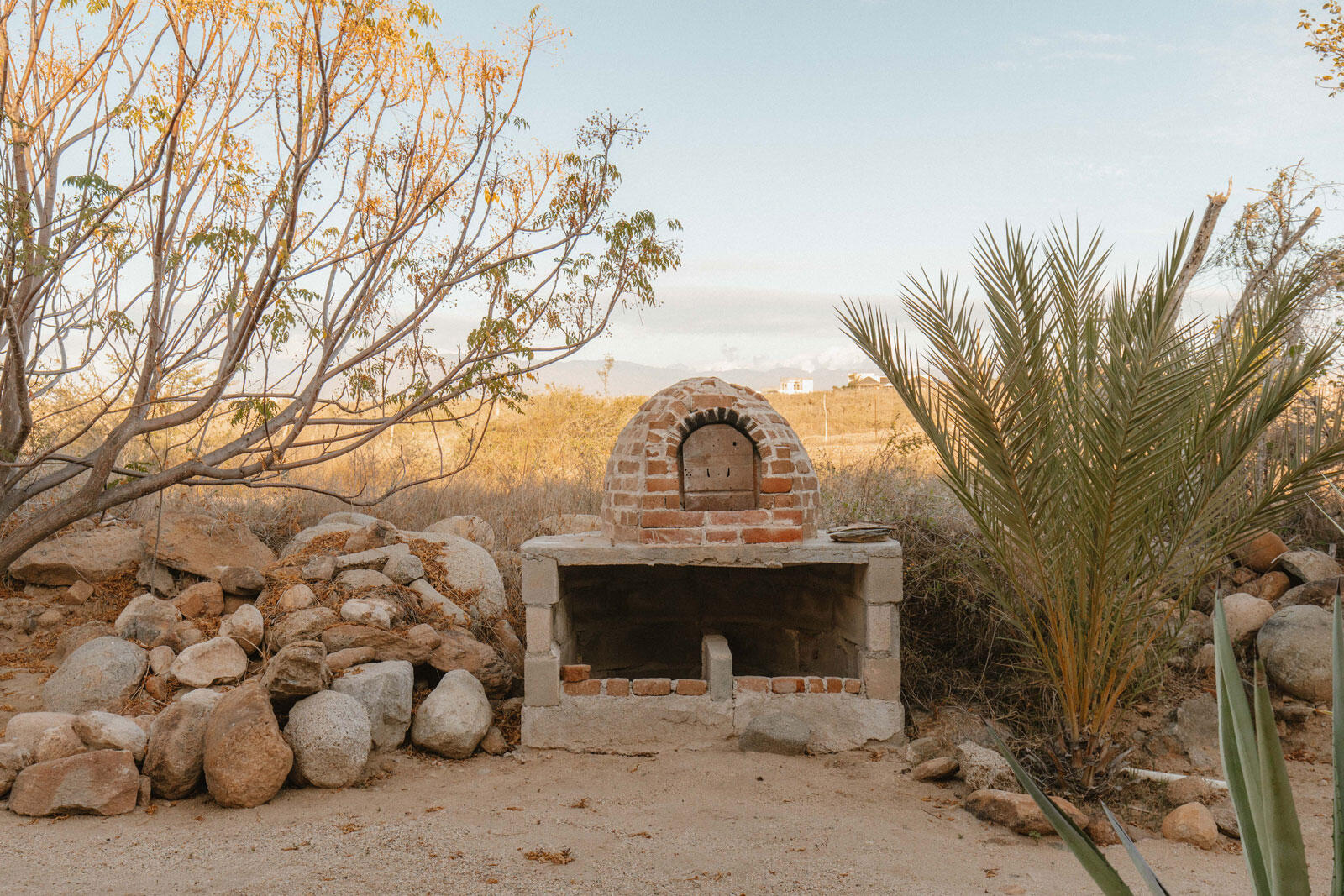 MLS #24-4946 image #48