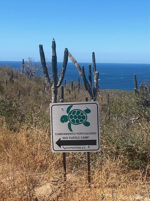 MLS #24-5000 image #7