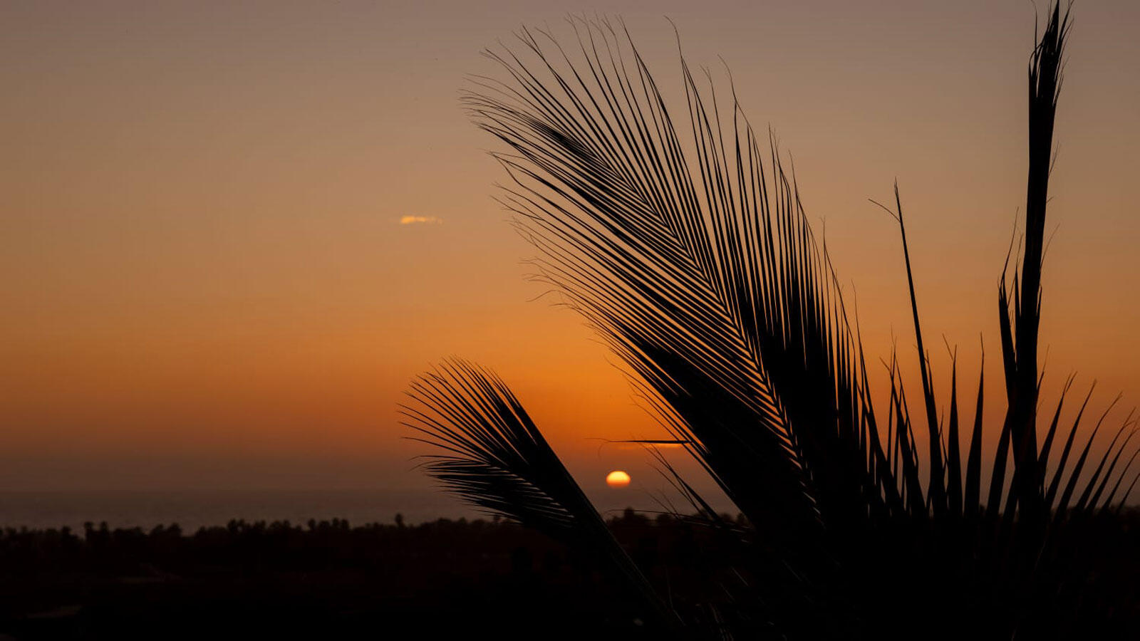 MLS #24-5007 image #19