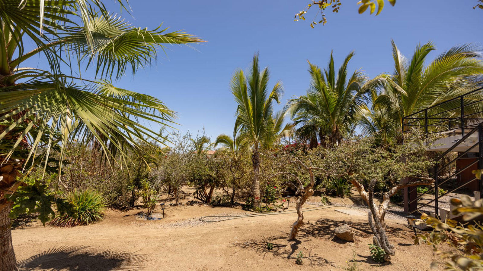 MLS #24-5007 image #36