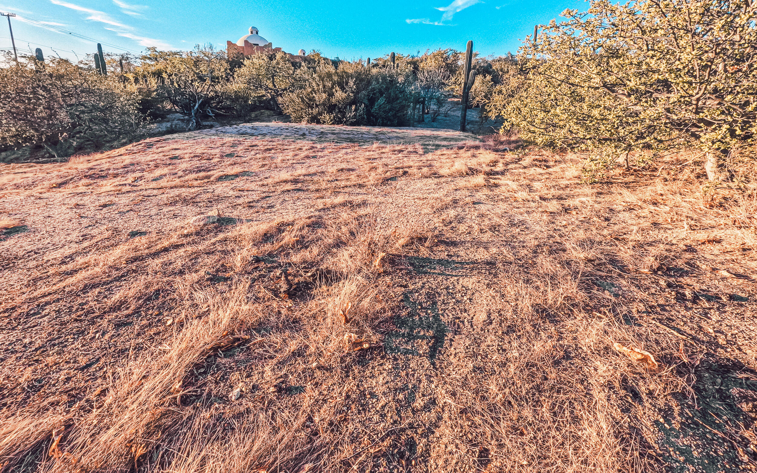 Calle Alga Marina Beach Access Lot 1925 La Paz BCS MLS #24-5017 43 MLS #24-5017 image #2