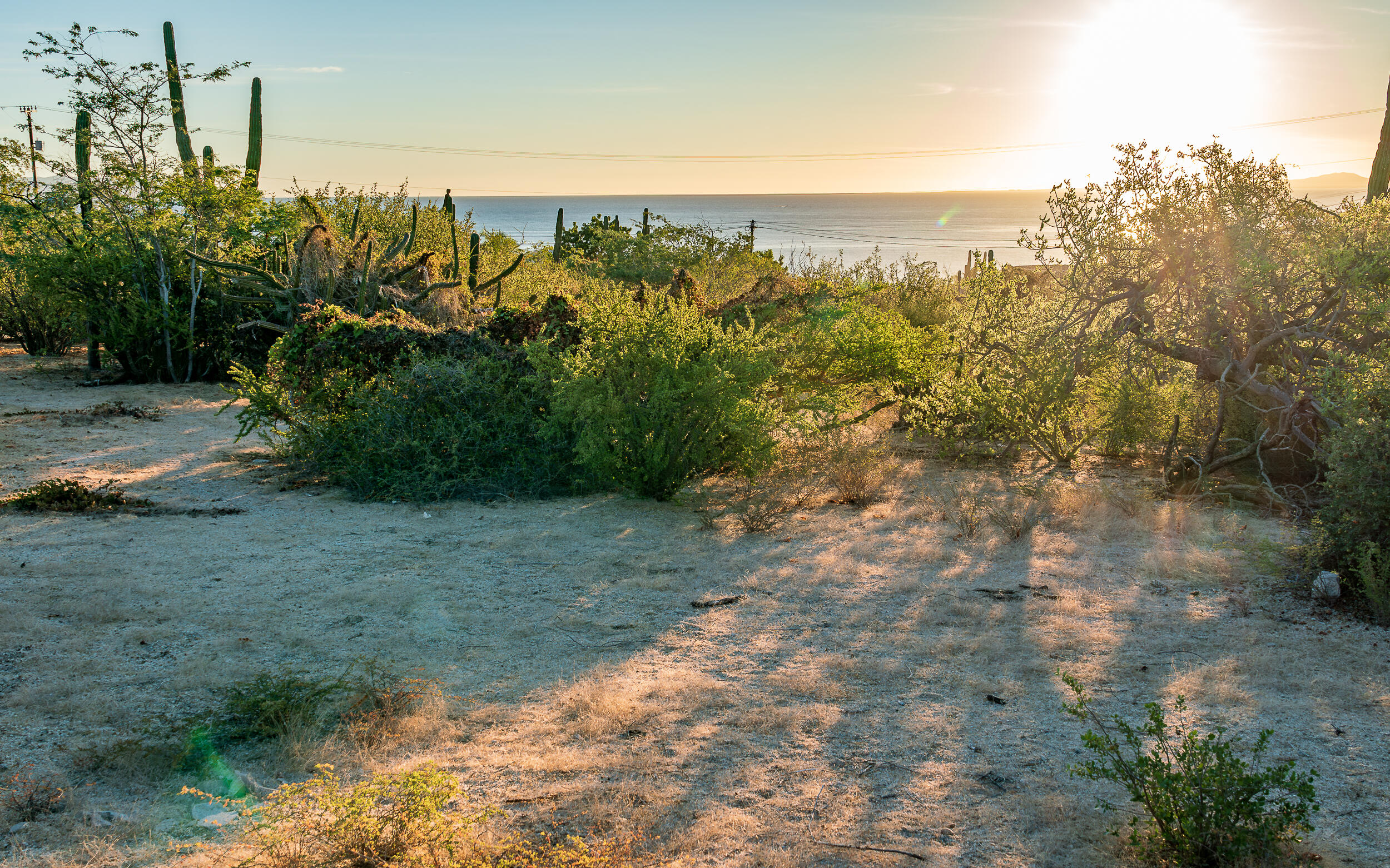 Calle Alga Marina Beach Access Lot 1925 La Paz BCS MLS #24-5017 46 MLS #24-5017 image #5