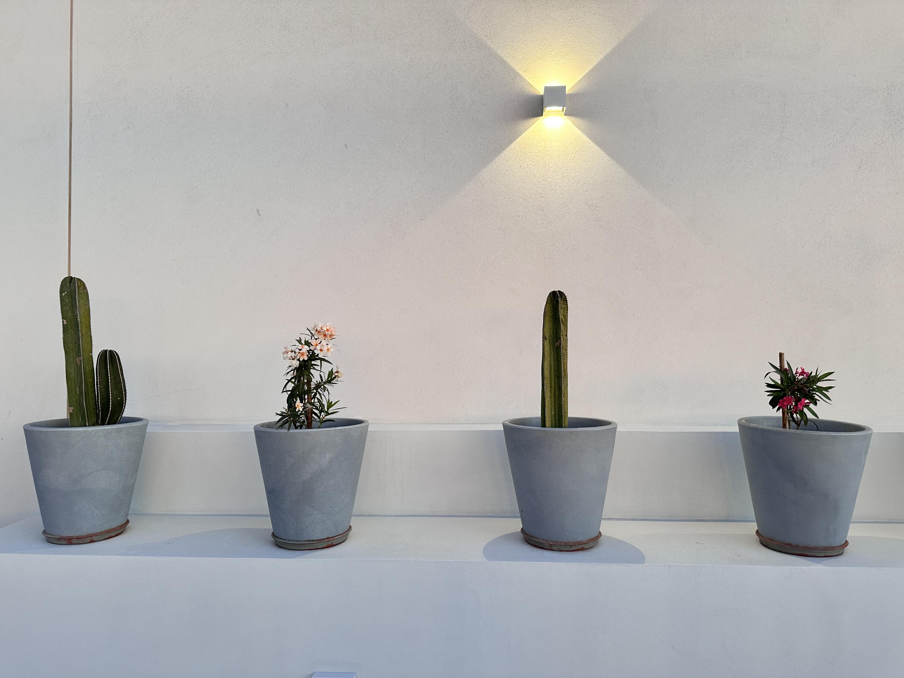 MLS #24-5063 image #69