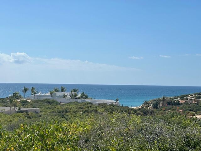 MLS #24-5164 img 1