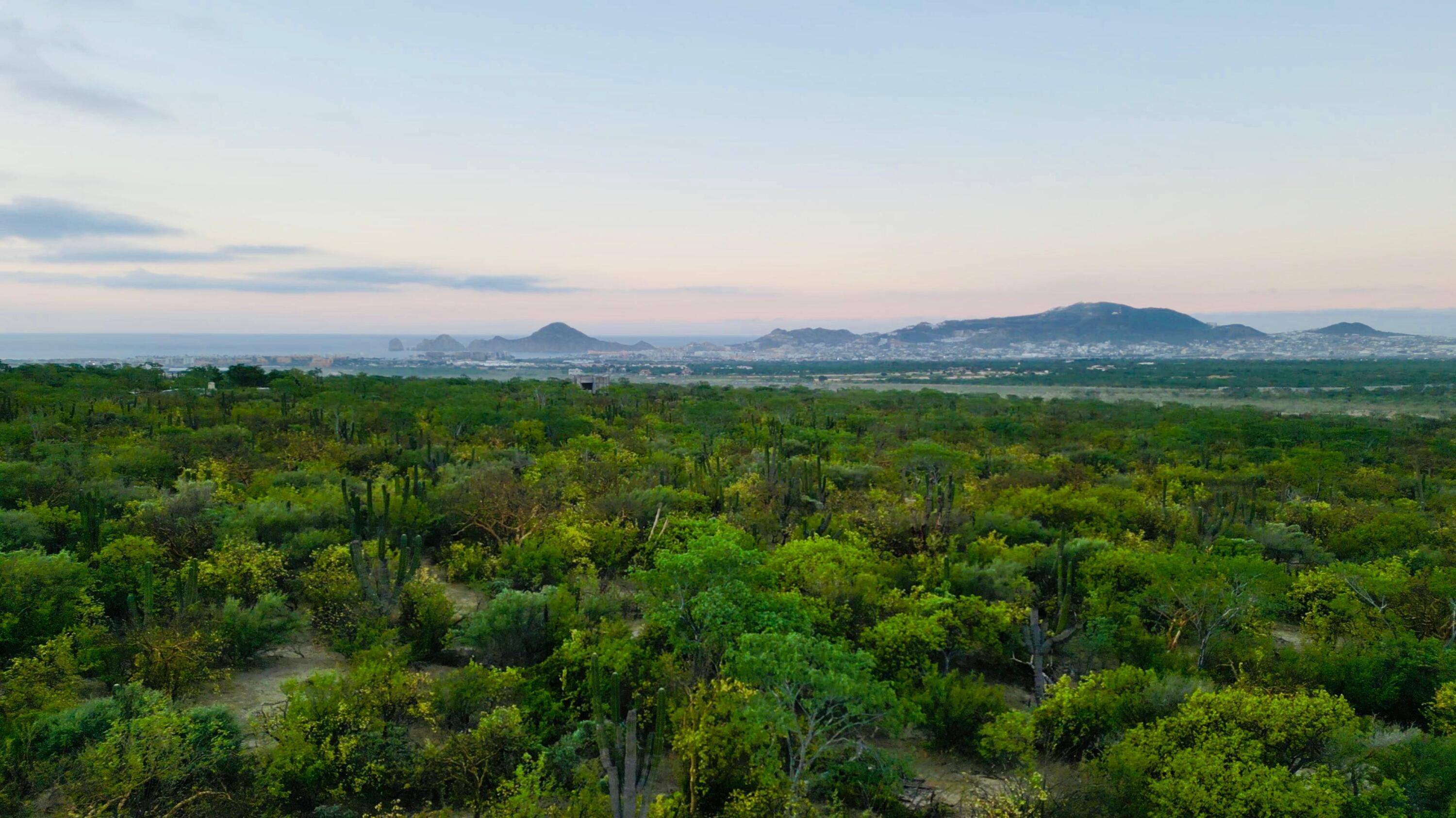 SIN NUMERO SIN NOMBRE PUNTO TEZAL Cabo Corridor BCS MLS #24-5166 42 MLS #24-5166 image #1