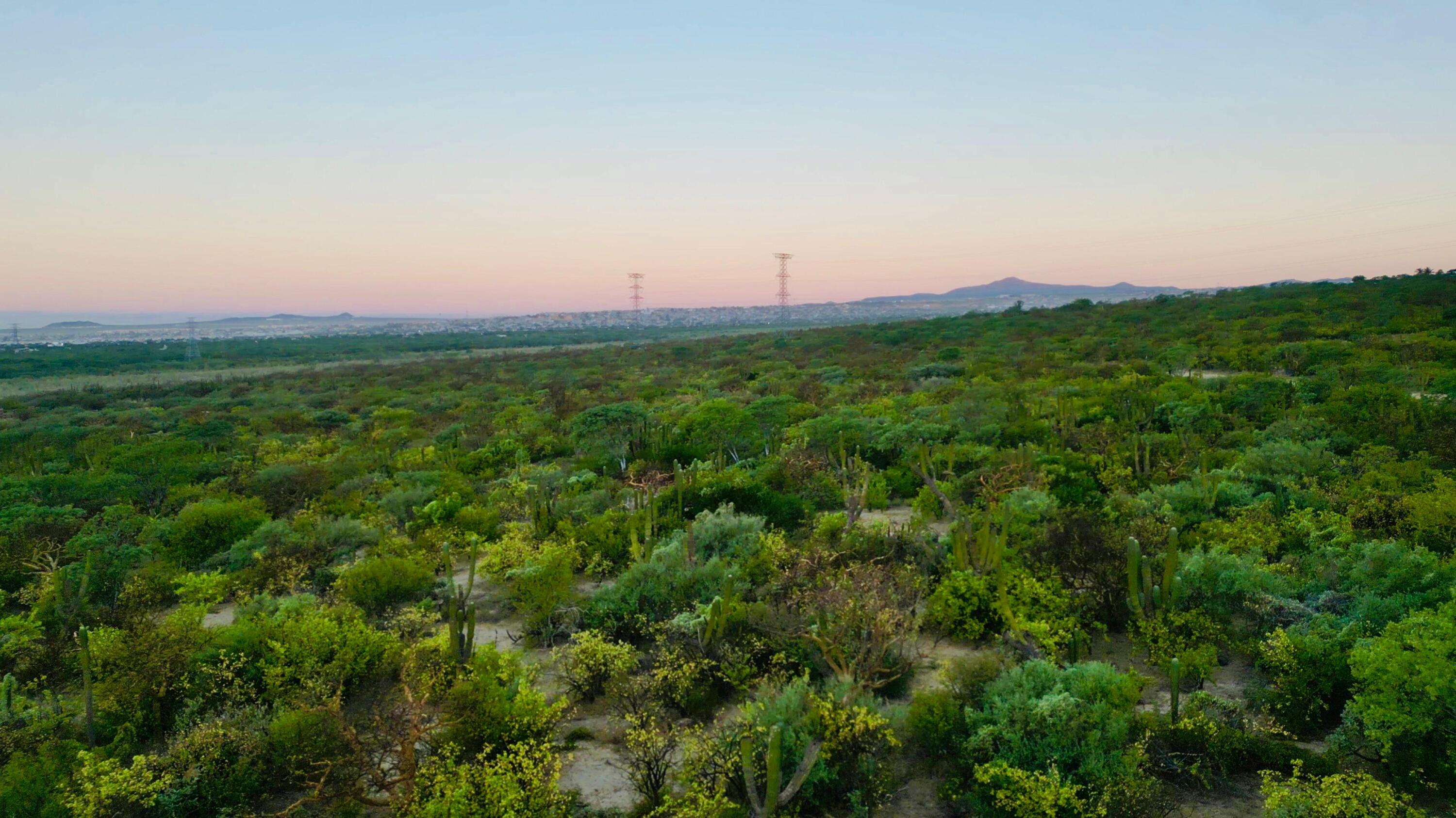 MLS #24-5166 image #10