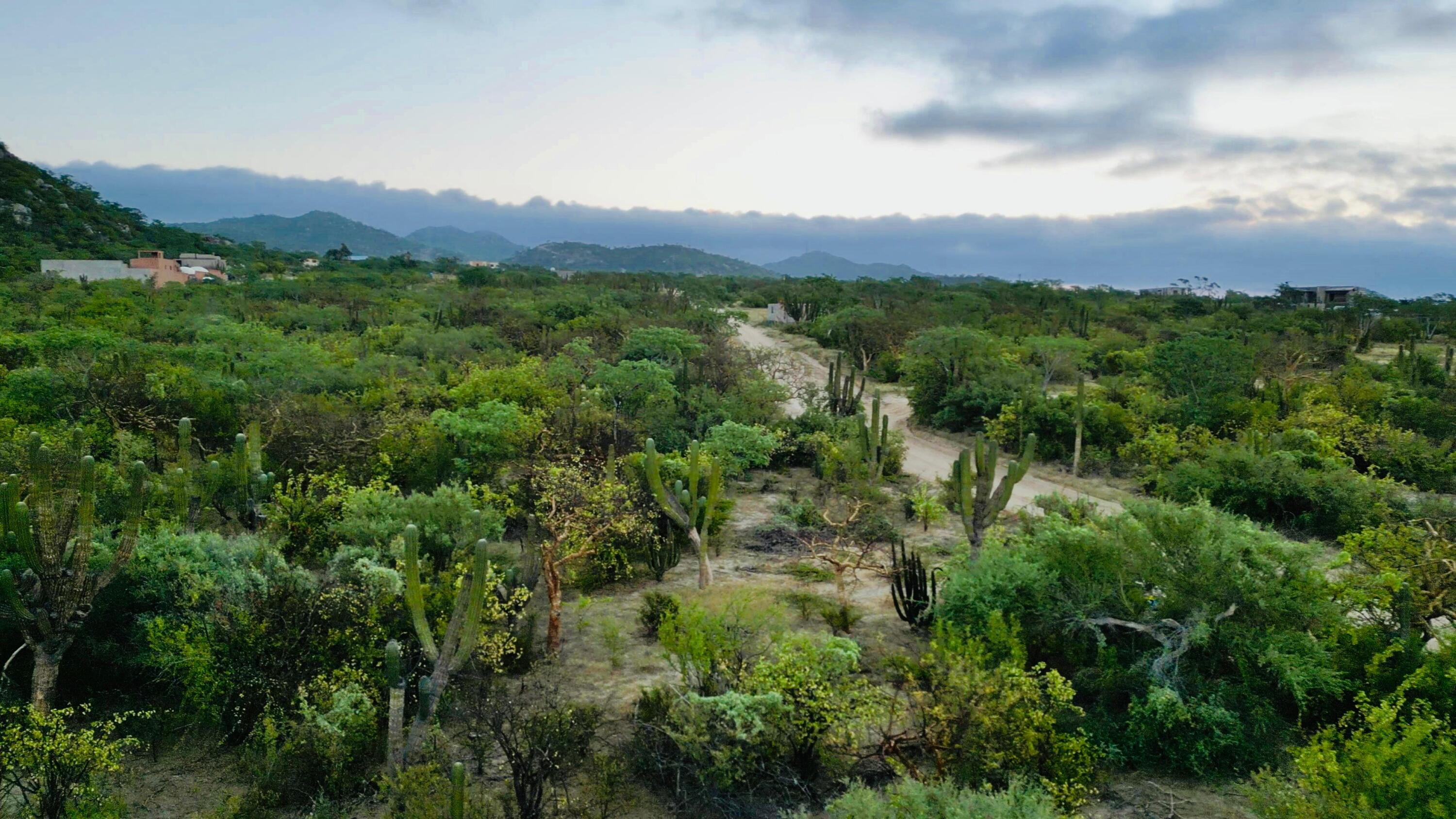 MLS #24-5166 image #11