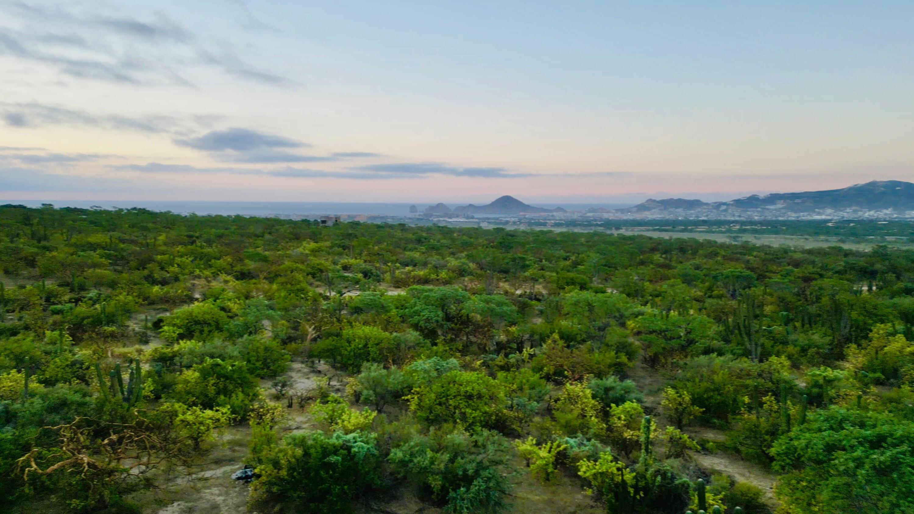 MLS #24-5166 image #12