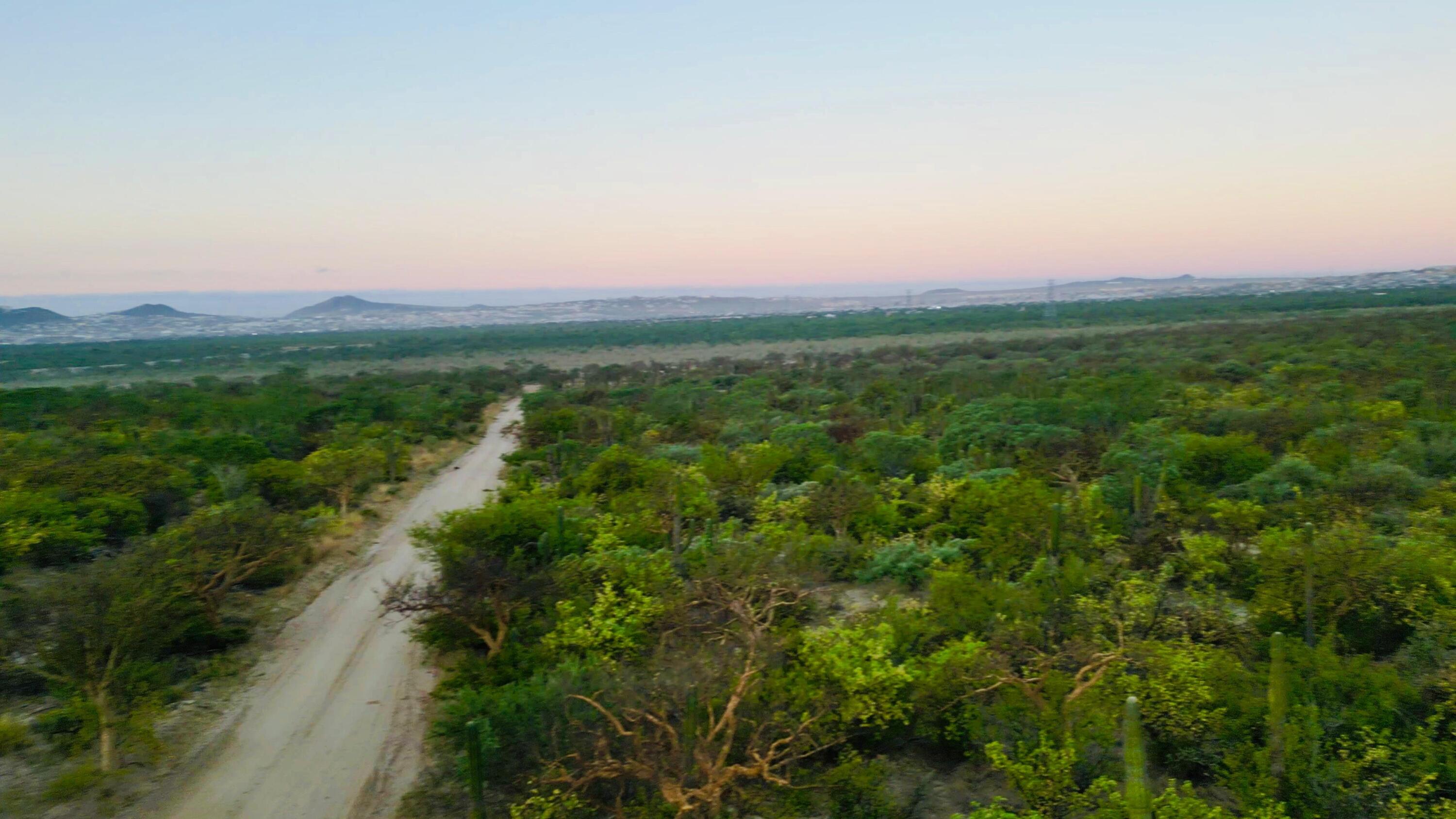 MLS #24-5166 image #13