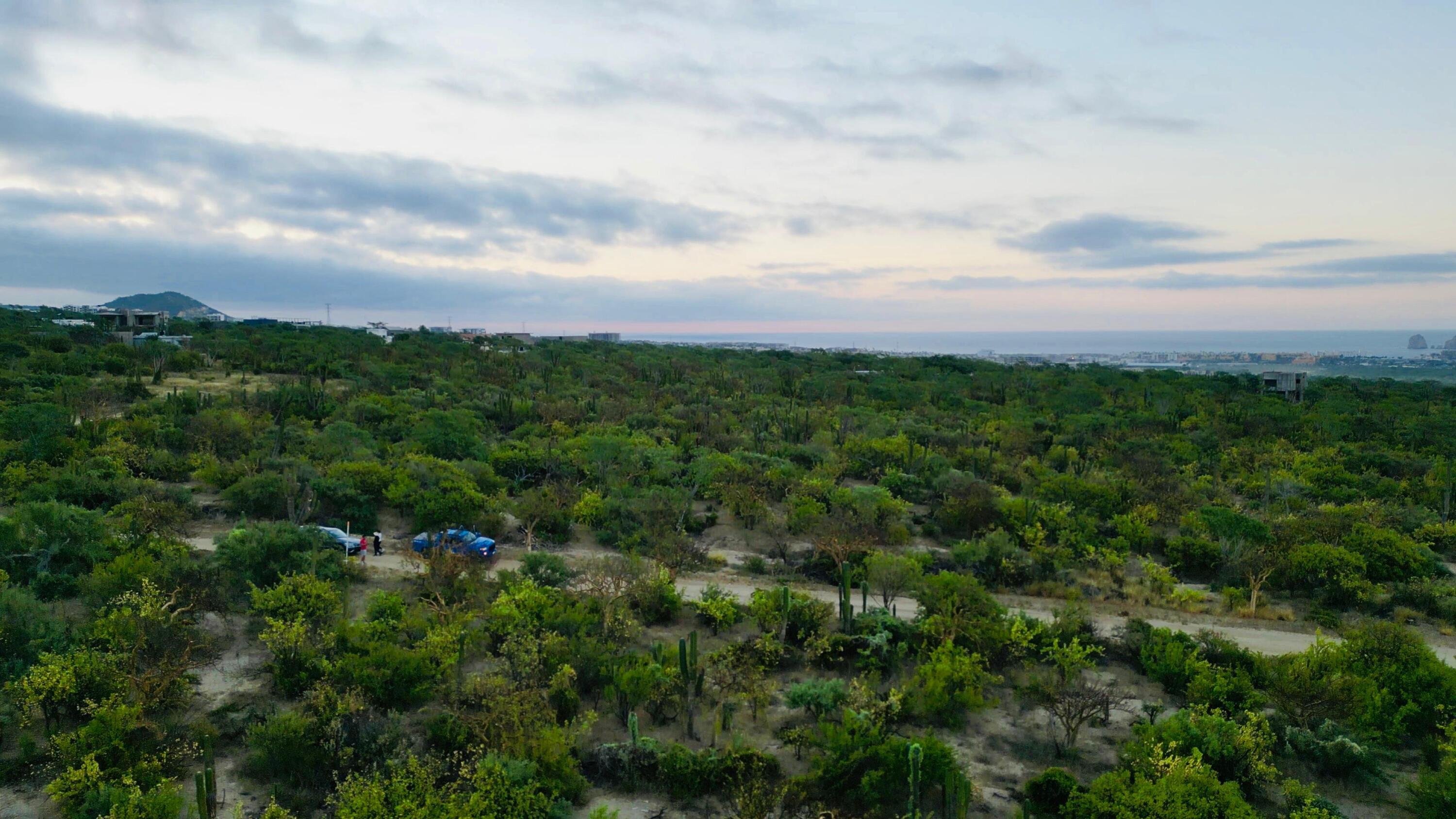 SIN NUMERO SIN NOMBRE PUNTO TEZAL Cabo Corridor BCS MLS #24-5166 44 MLS #24-5166 image #3