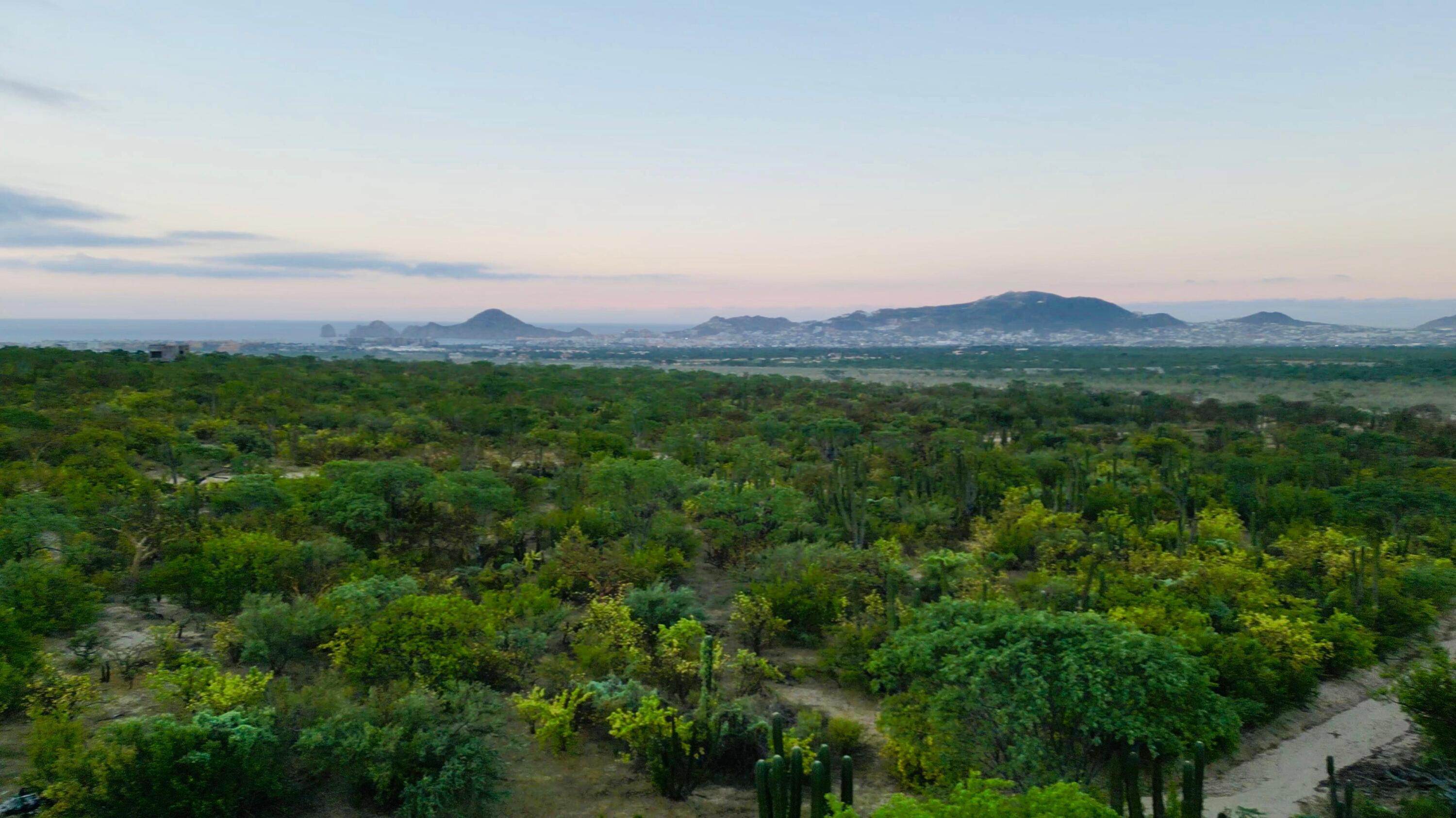 SIN NUMERO SIN NOMBRE PUNTO TEZAL Cabo Corridor BCS MLS #24-5166 45 MLS #24-5166 image #4