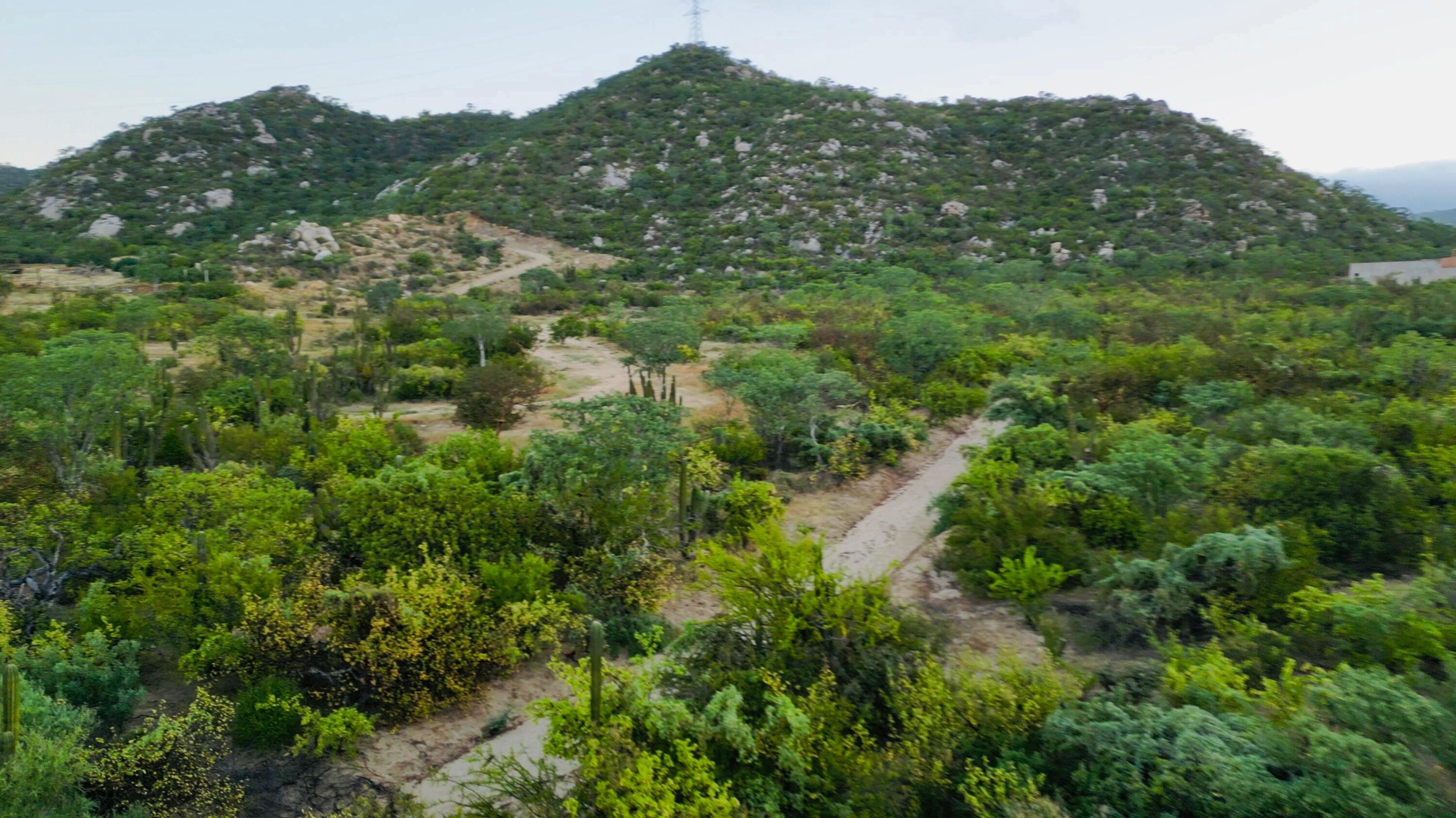 SIN NUMERO SIN NOMBRE PUNTO TEZAL Cabo Corridor BCS MLS #24-5166 46 MLS #24-5166 image #5