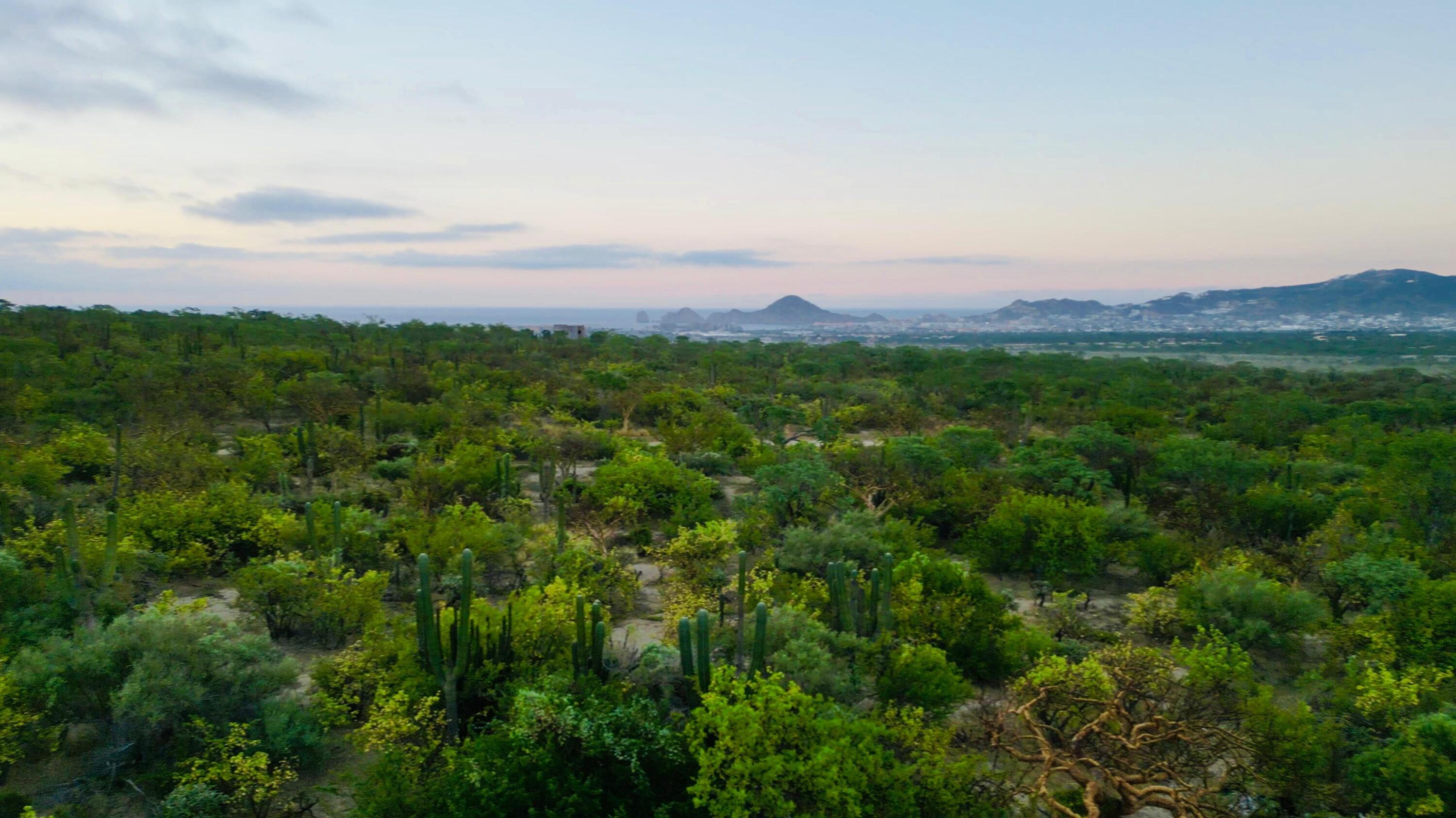 SIN NUMERO SIN NOMBRE PUNTO TEZAL Cabo Corridor BCS MLS #24-5166 47 MLS #24-5166 image #6