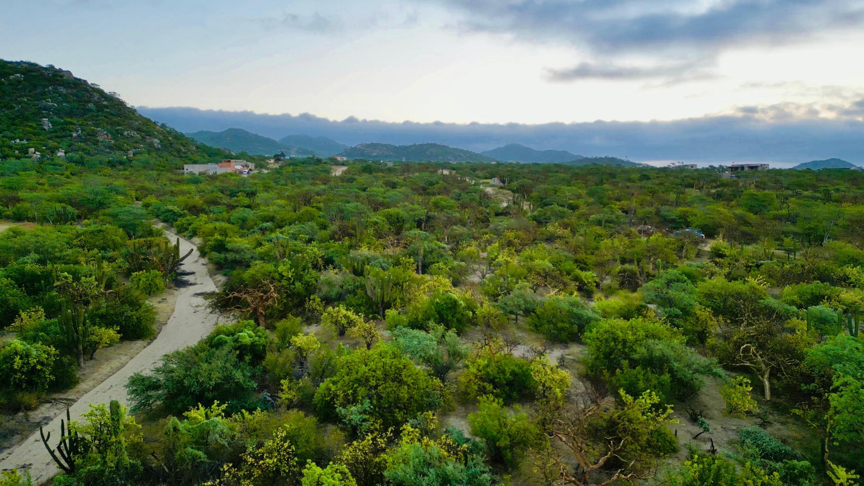 MLS #24-5166 image #7