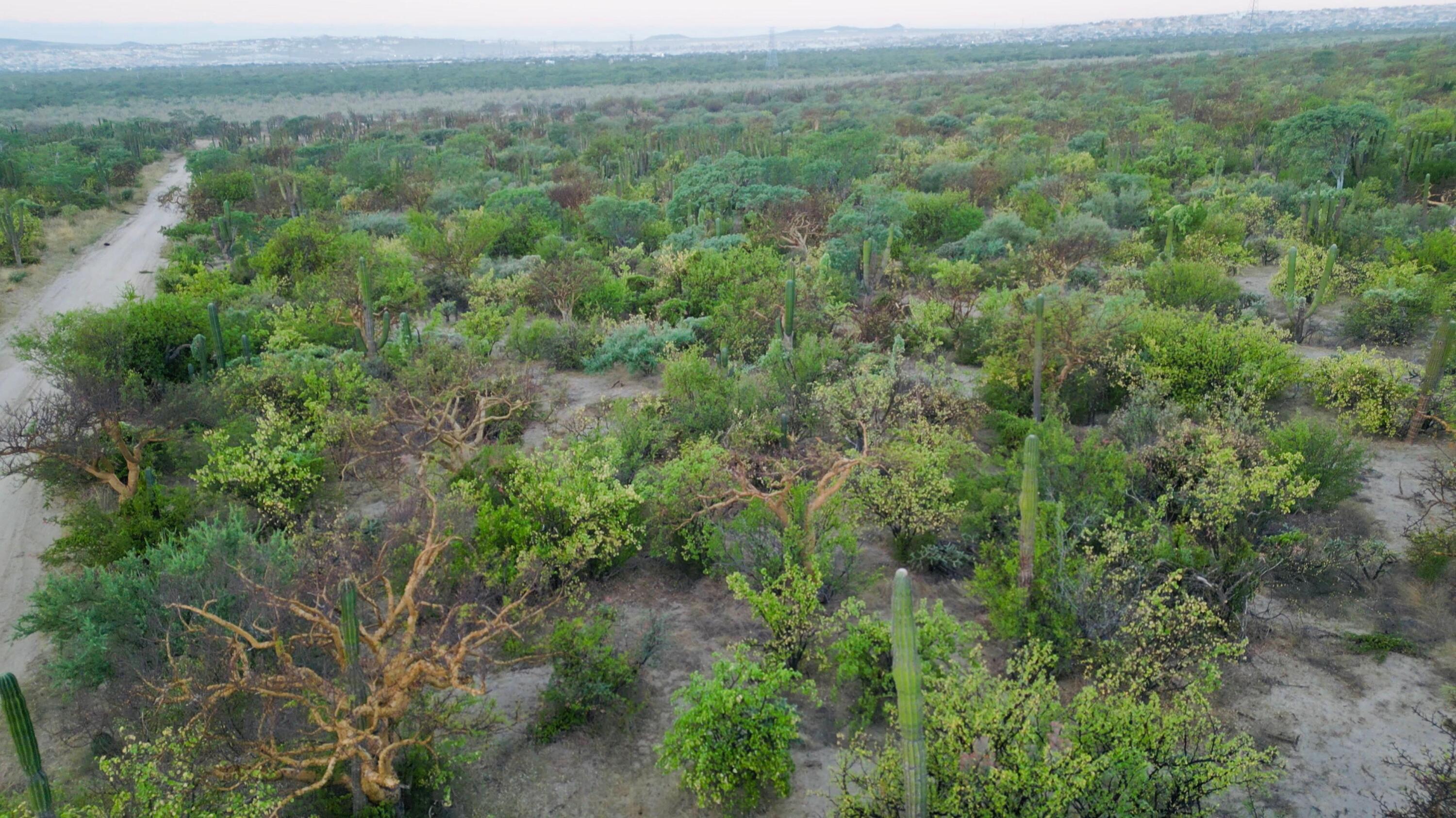 MLS #24-5166 image #8