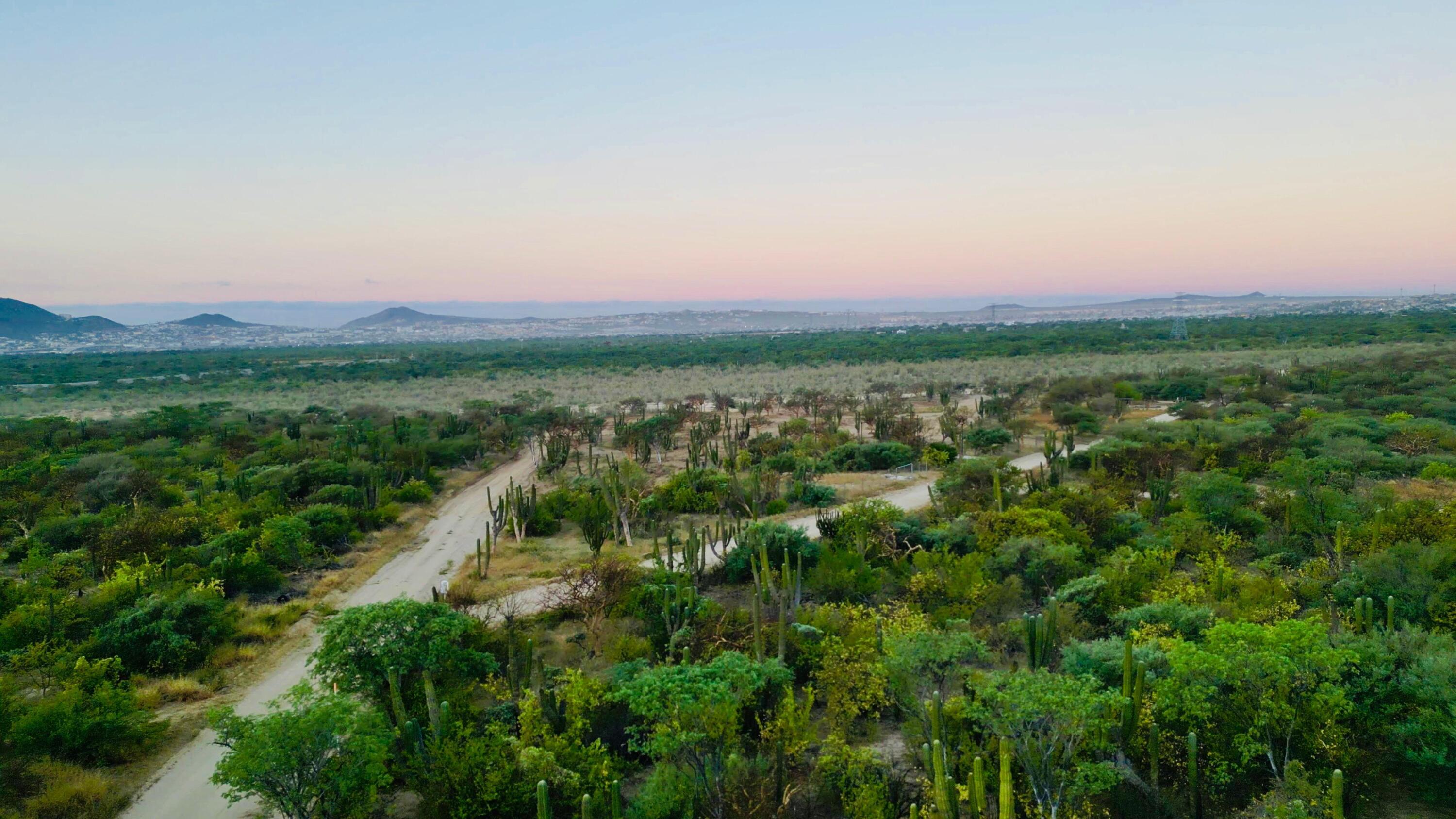 MLS #24-5166 image #9