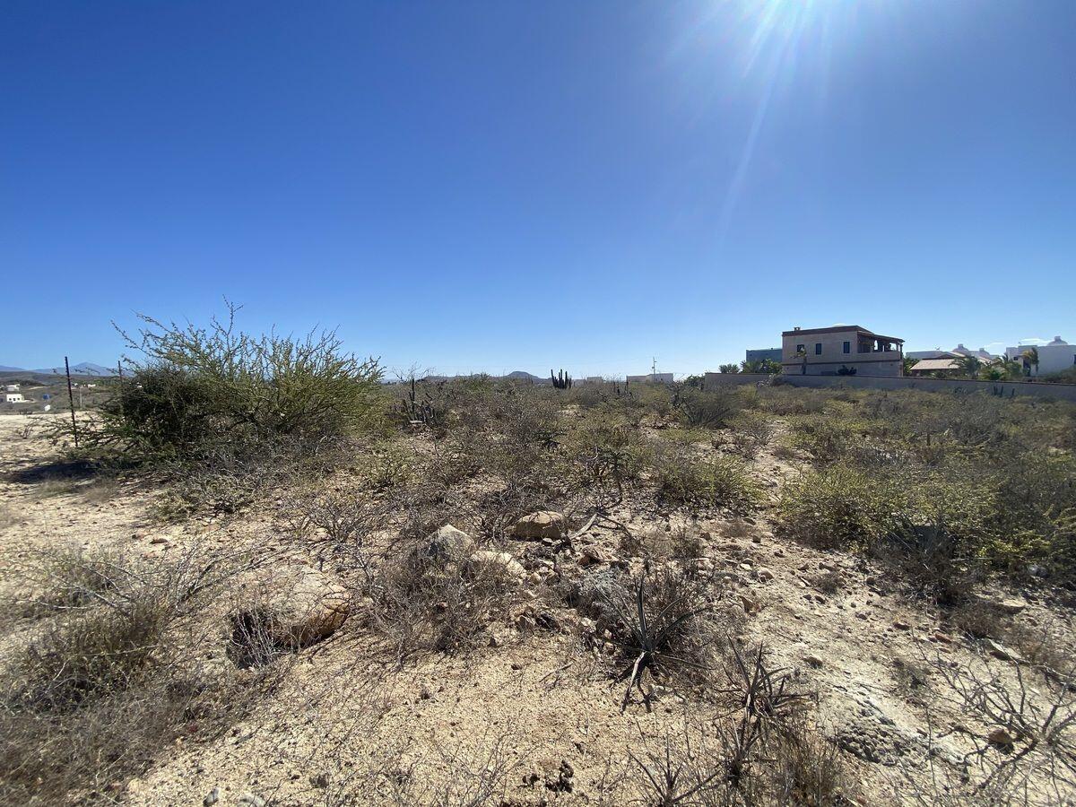 MLS #24-5212 image #13