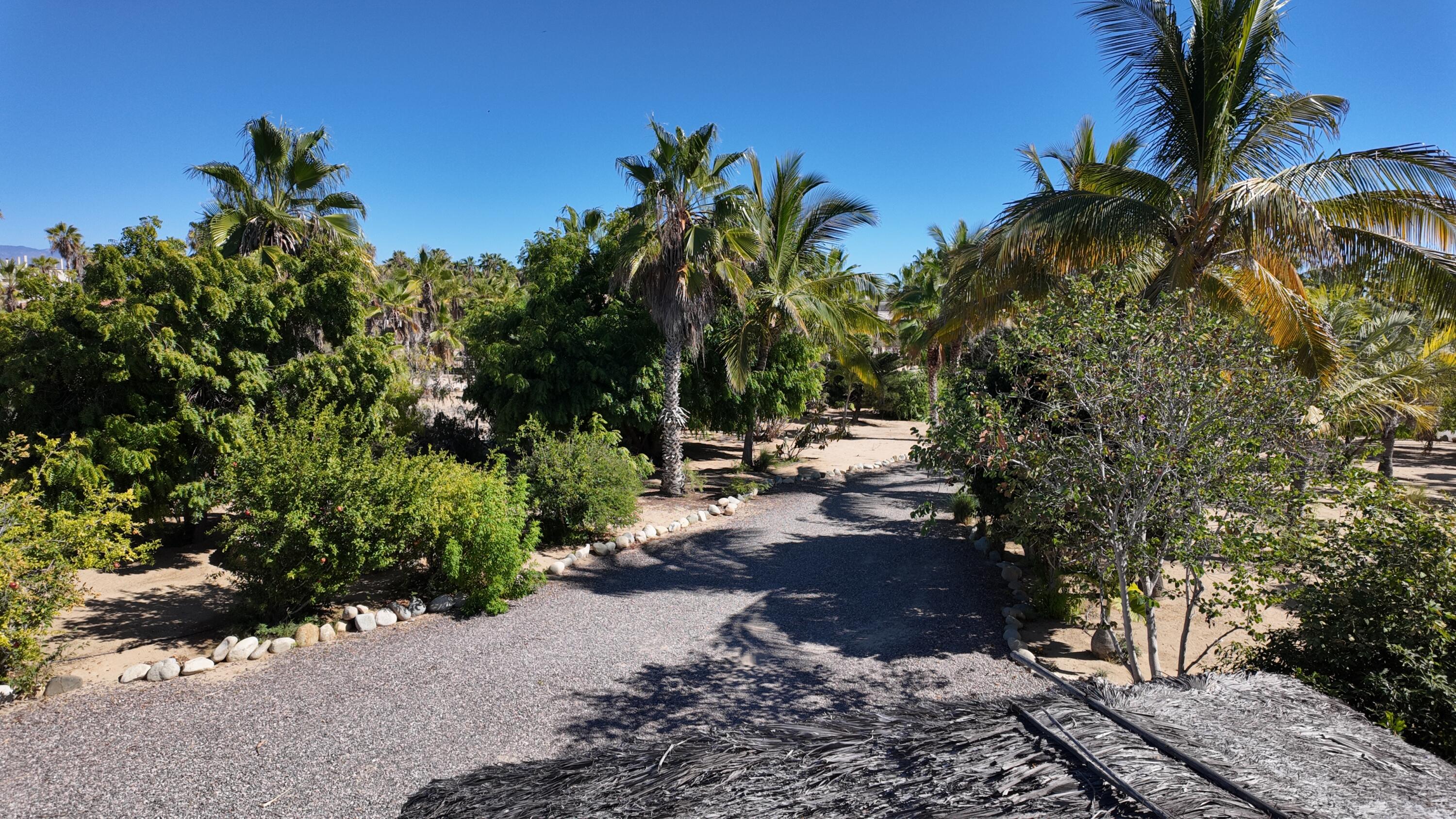 MLS #24-5259 image #19