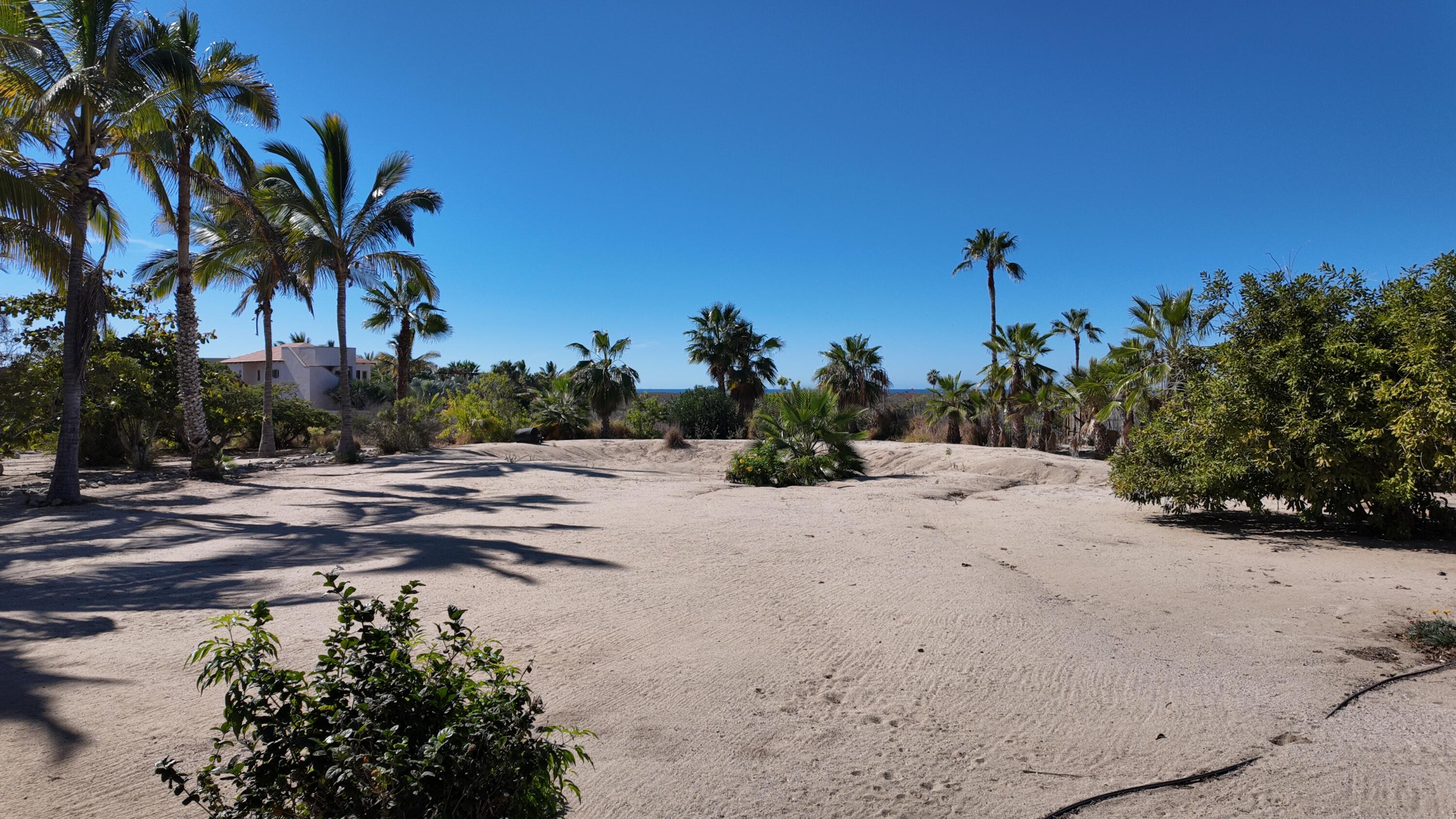 MLS #24-5259 image #23