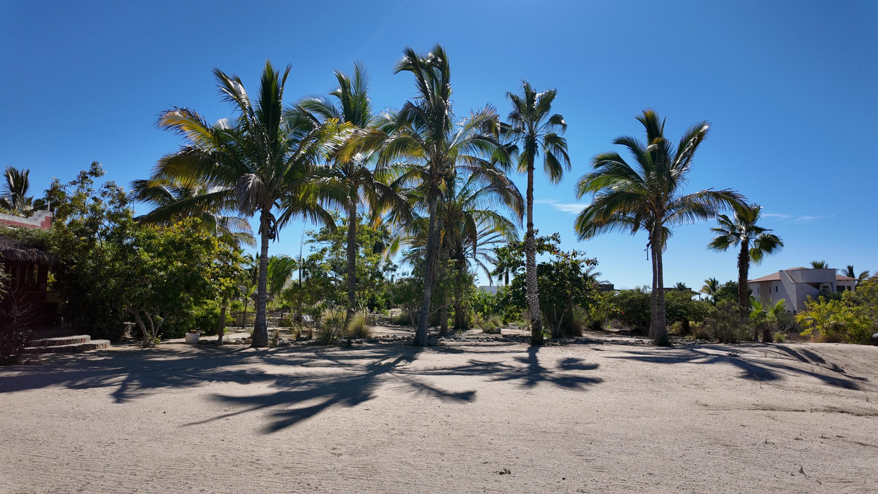 MLS #24-5259 image #24