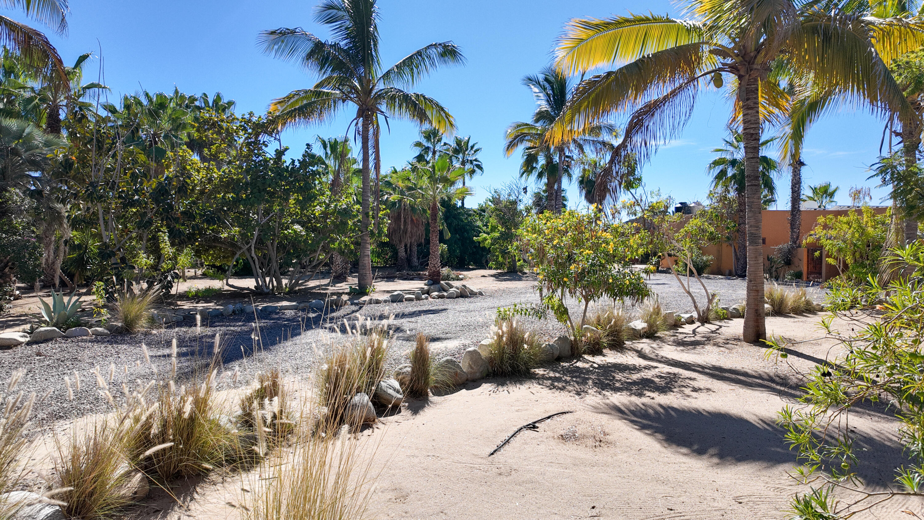 MLS #24-5259 image #26