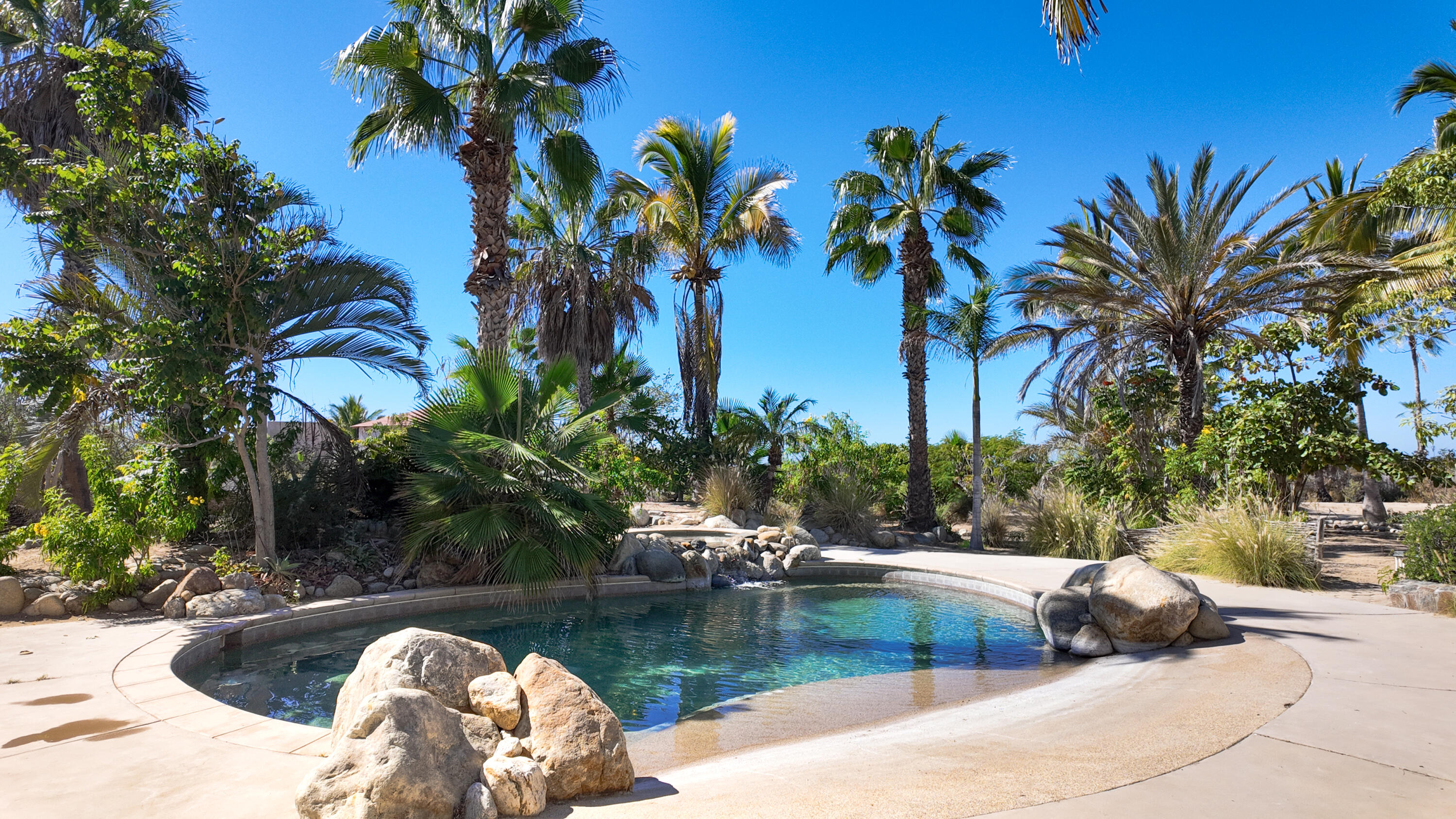 MLS #24-5259 image #45