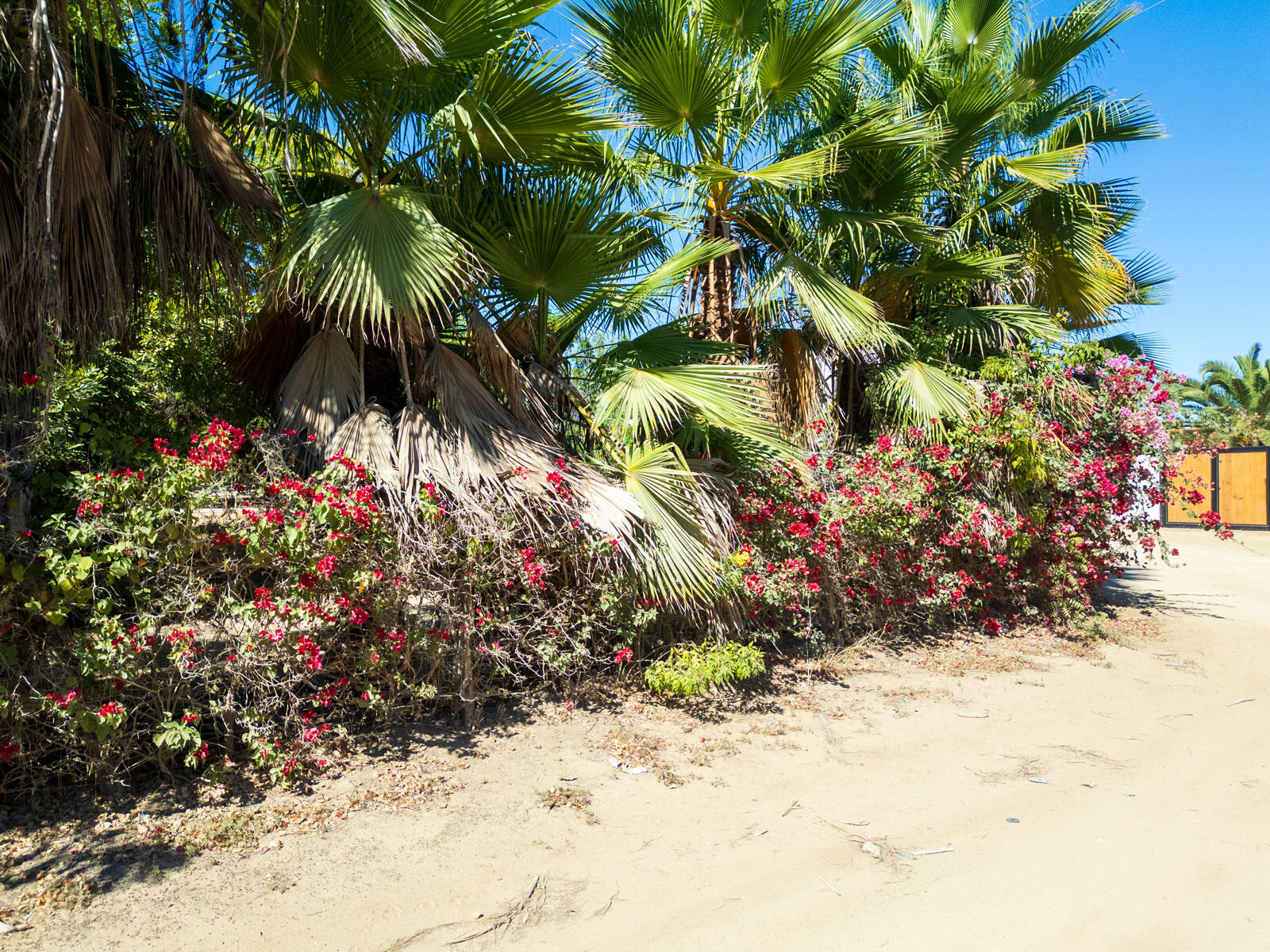 Huerta 28 Half Acre Pacific BCS MLS #24-5374 42 MLS #24-5374 image #1