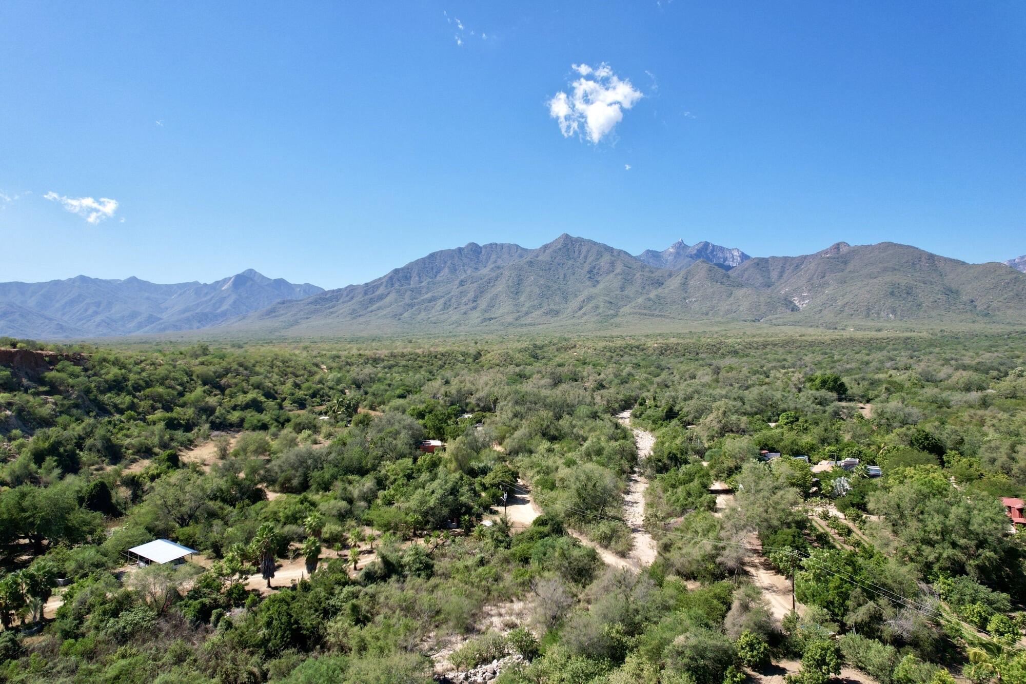 MLS #24-5470 img 3