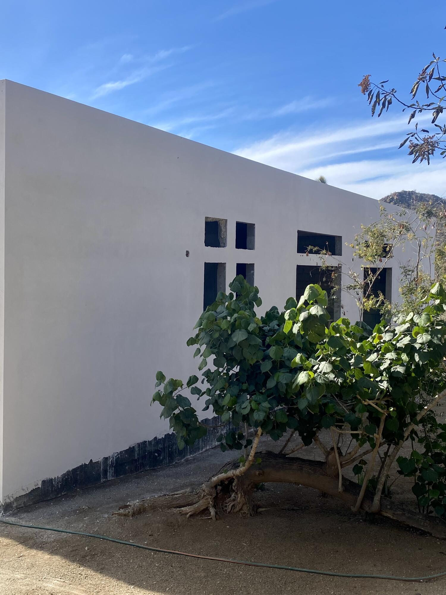 MLS #24-5496 image #8