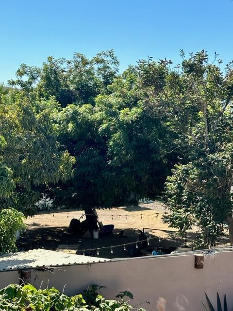 MLS #24-5540 image #19