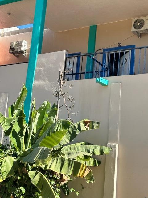 MLS #24-5540 image #6