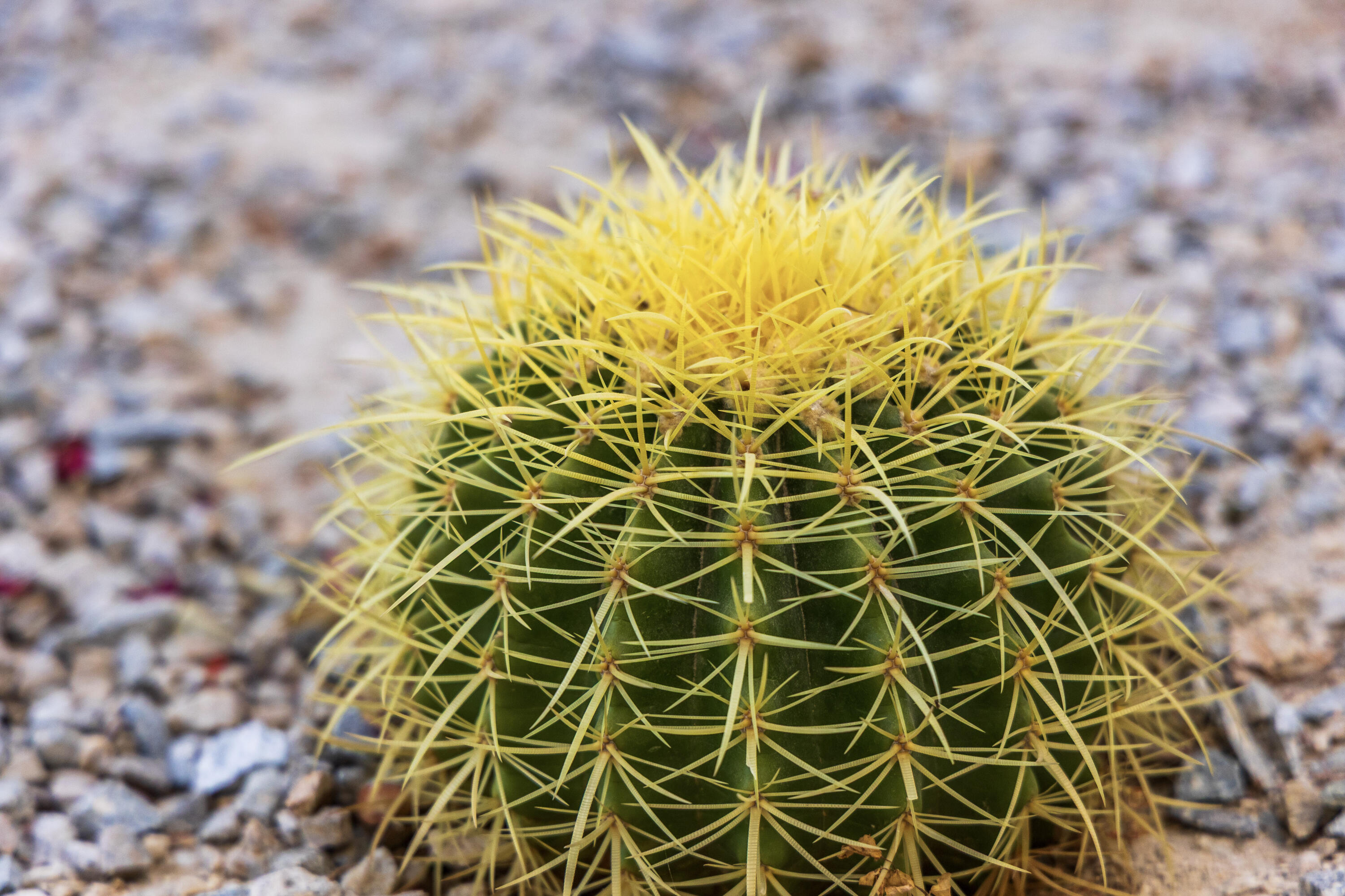 MLS #24-5559 image #30