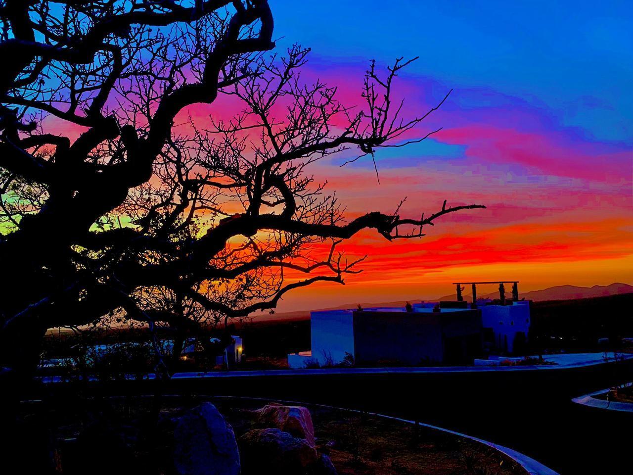 MLS #24-5563 image #10