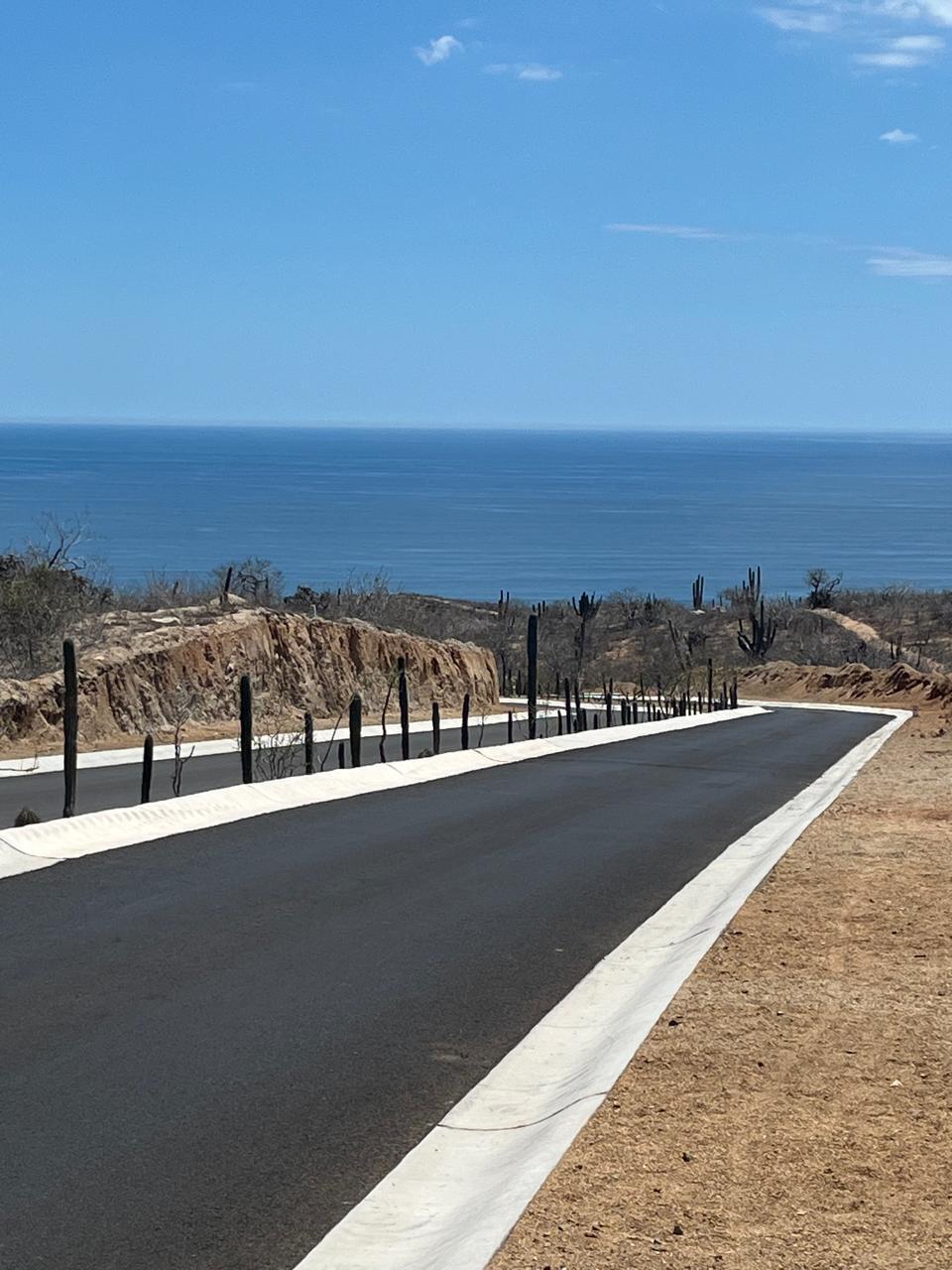 MLS #24-5563 image #11