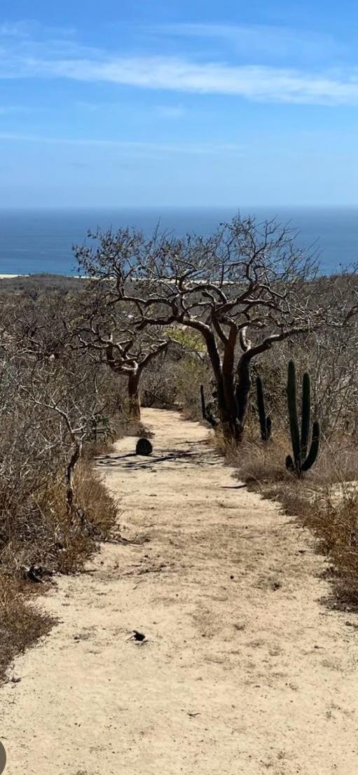 MLS #24-5563 image #13