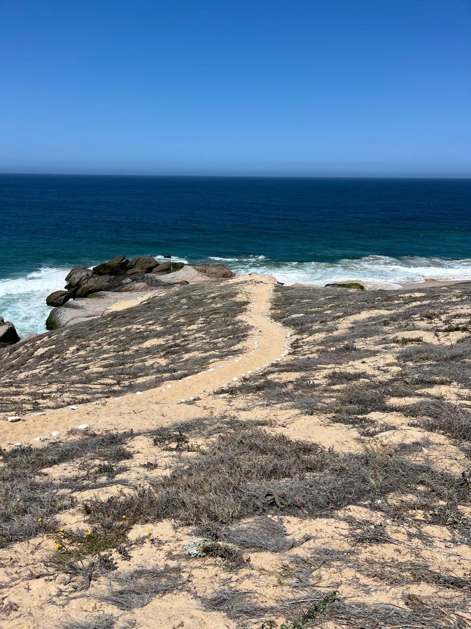 MLS #24-5563 image #14