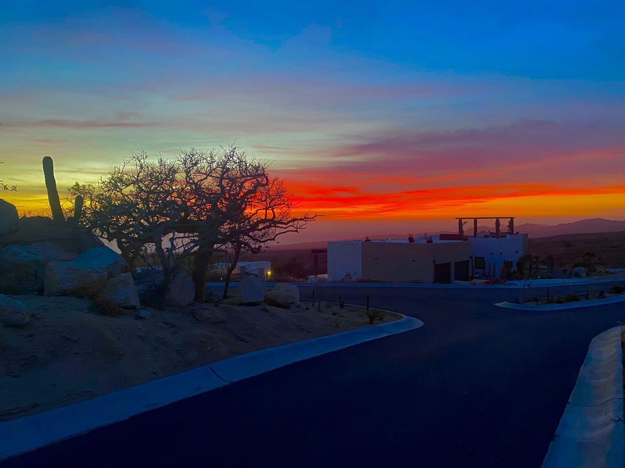 MLS #24-5563 image #15