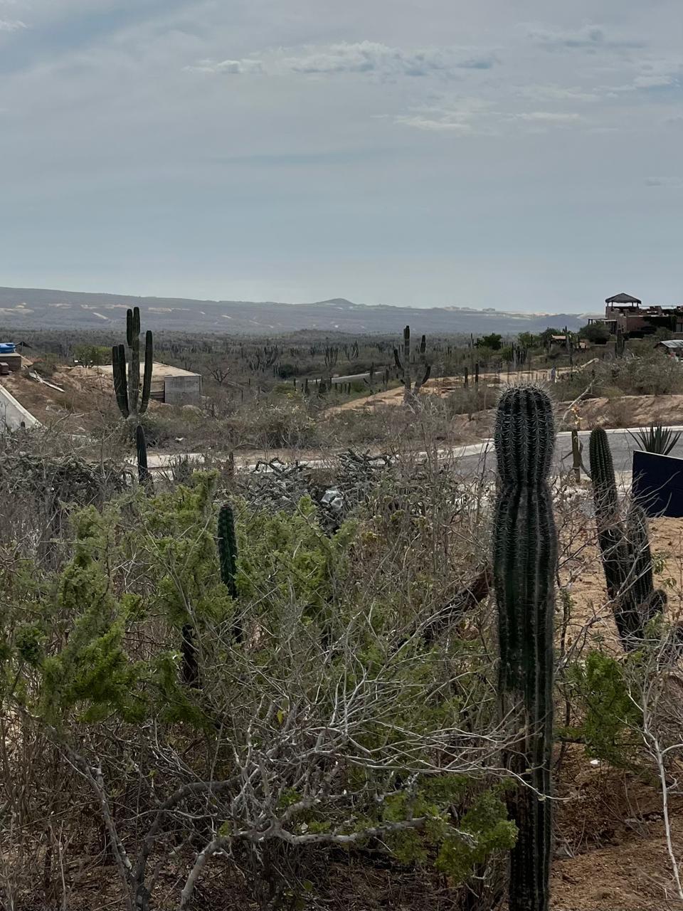 BLVD. Cabo Hills Lot 7 BLK 8 Pacific BCS MLS #24-5563 46 MLS #24-5563 image #5