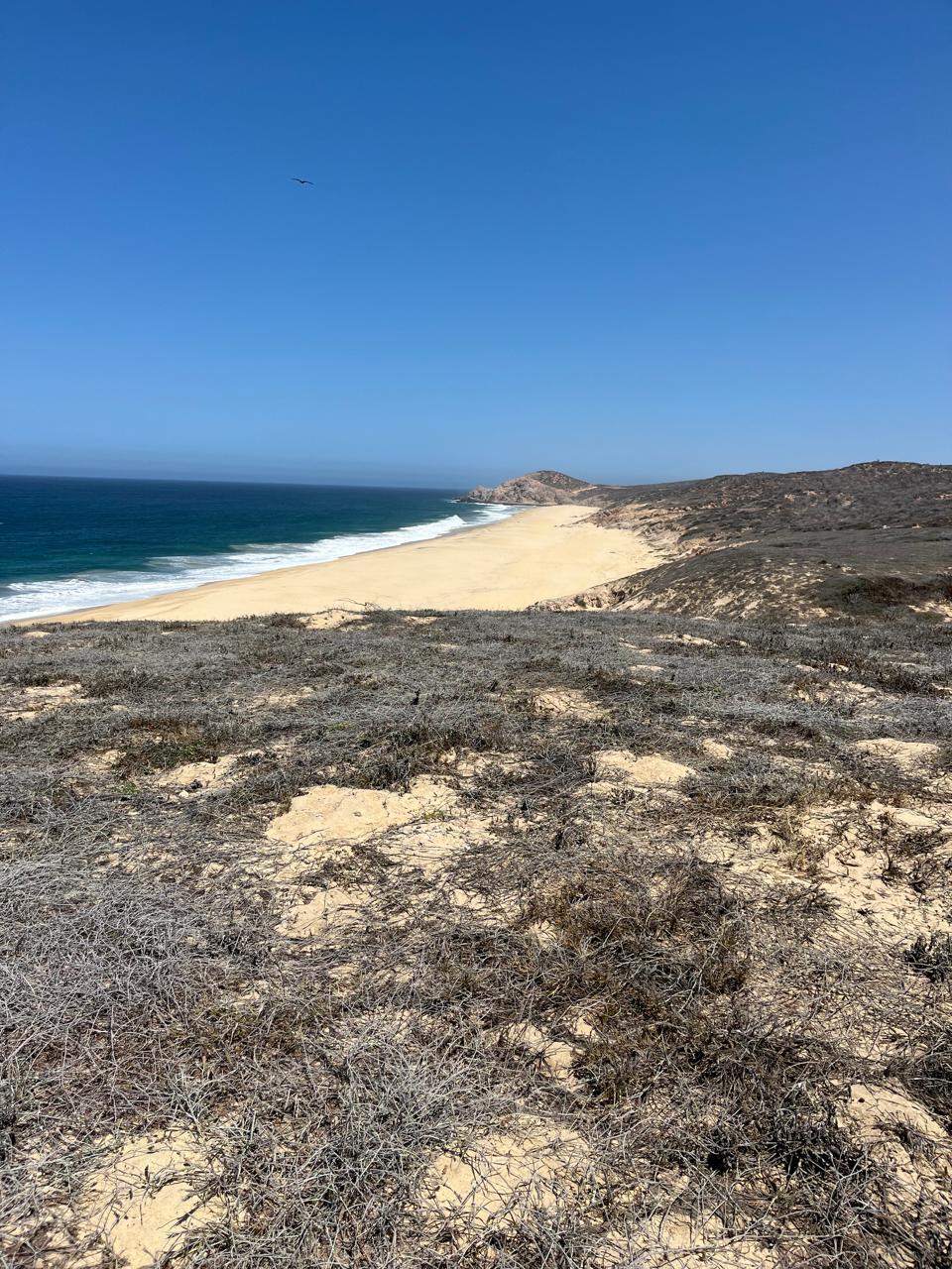 MLS #24-5563 image #7