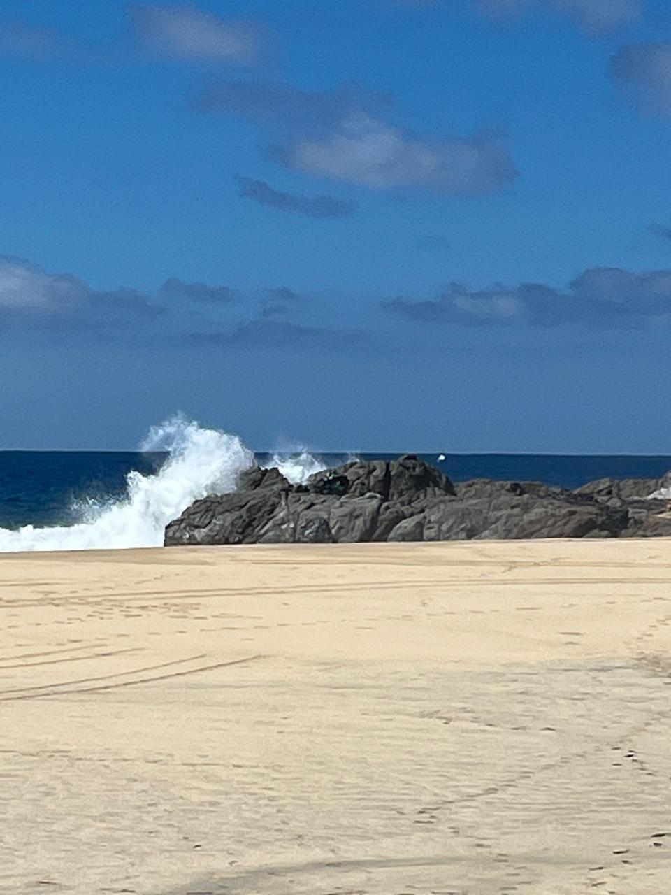 MLS #24-5563 image #8