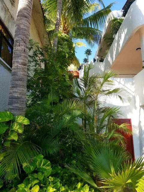 MLS #24-5582 image #30