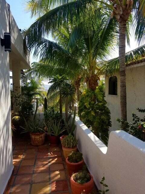 MLS #24-5582 image #31