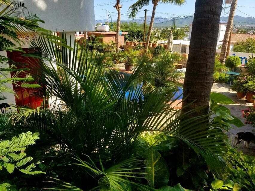 MLS #24-5582 image #33