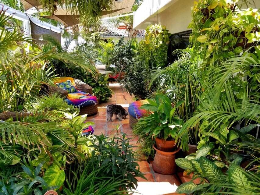 MLS #24-5582 image #34