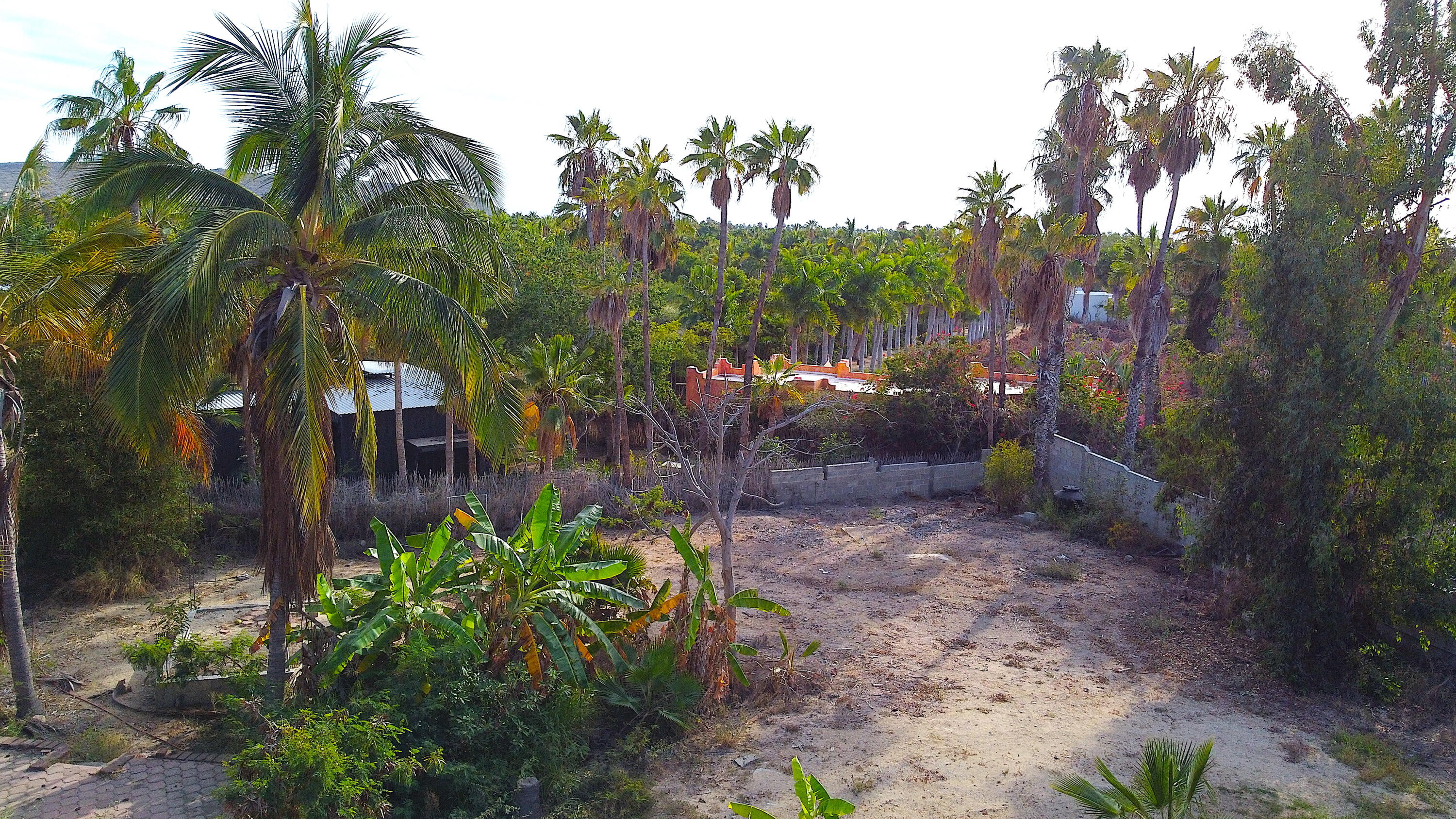 MLS #24-5609 image #15