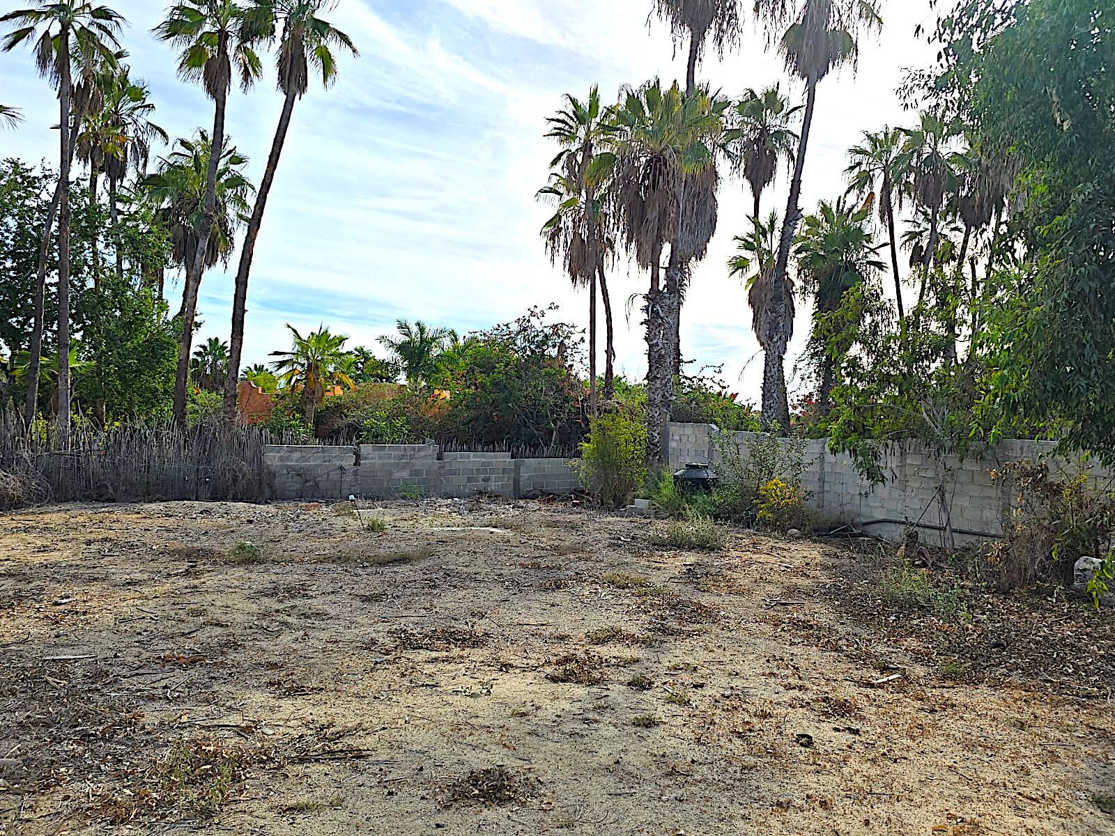 MLS #24-5609 image #18