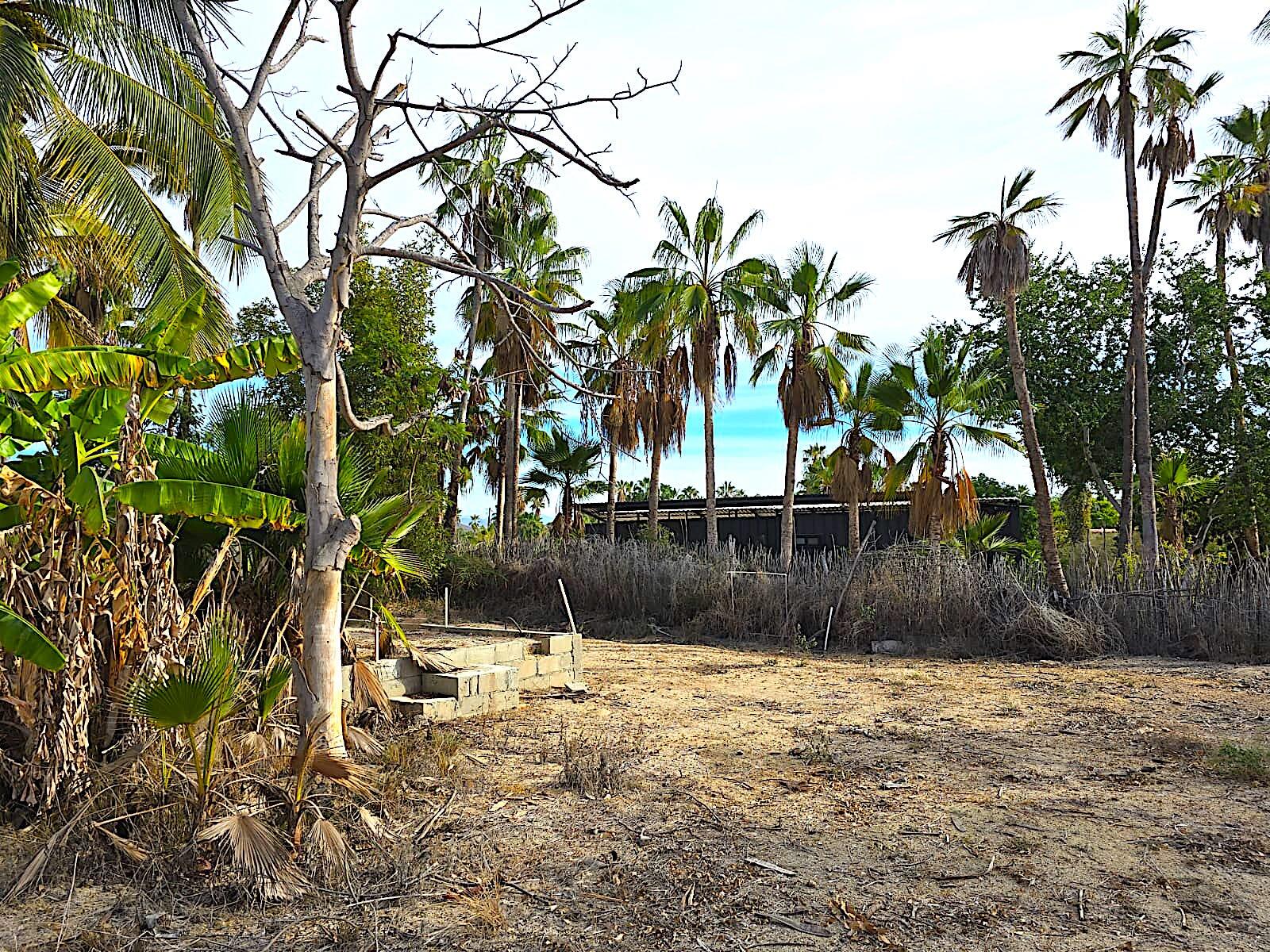 MLS #24-5609 image #21