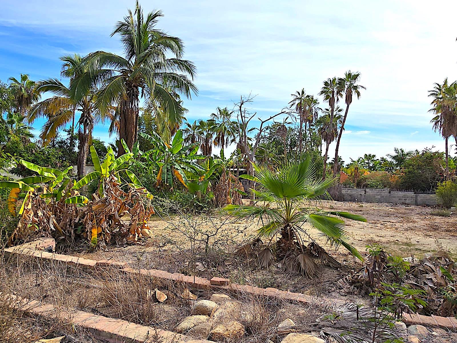 MLS #24-5609 image #22